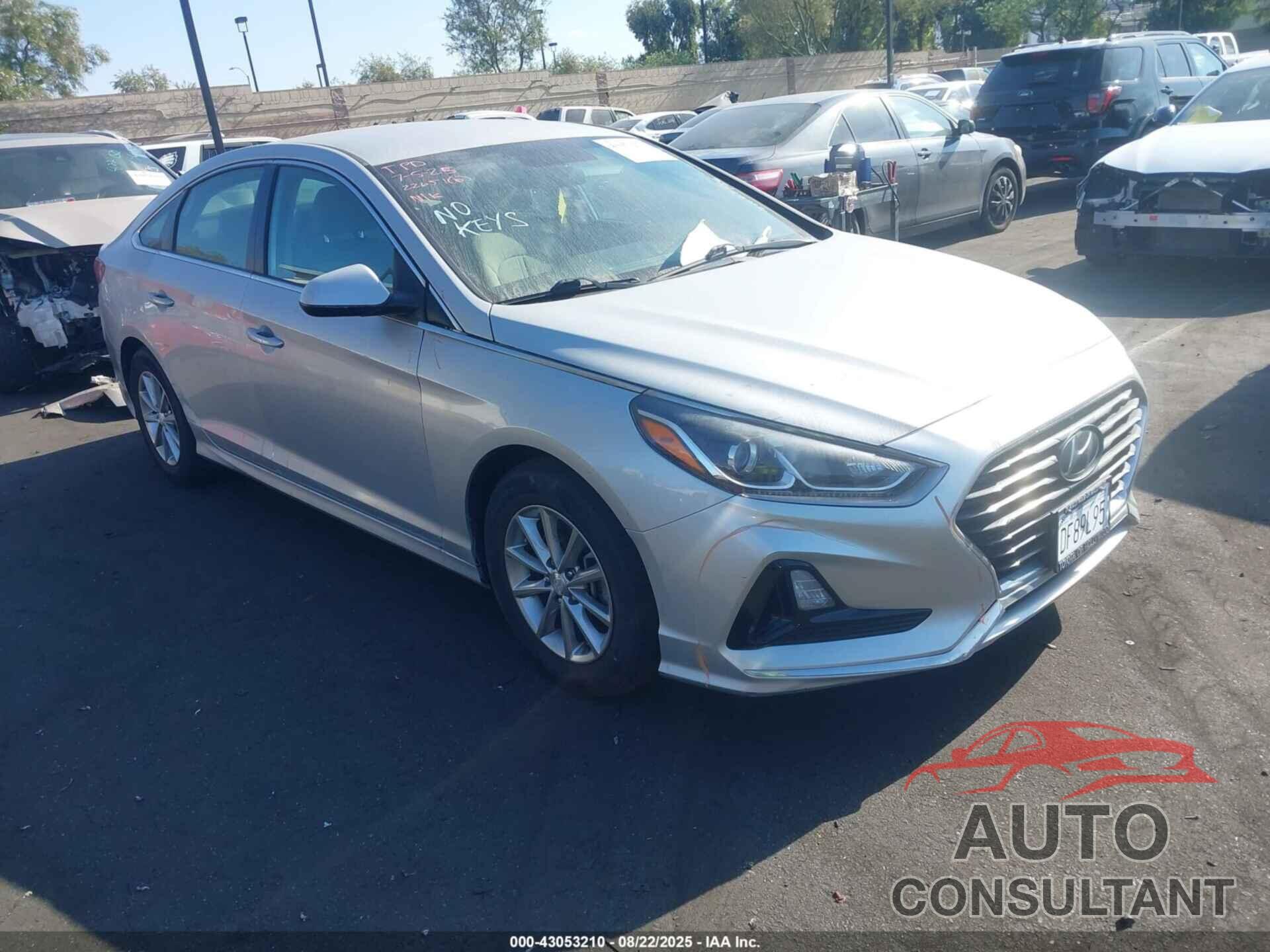 HYUNDAI SONATA 2019 - 5NPE24AF6KH793109