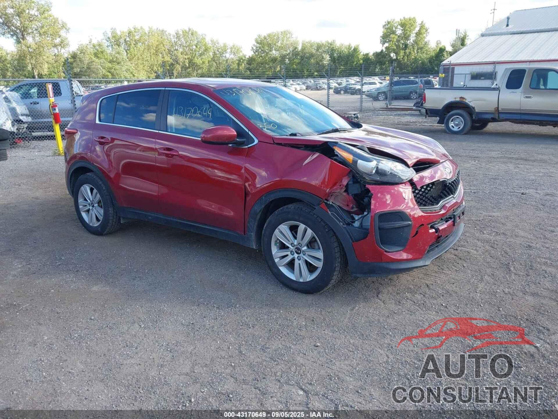 KIA SPORTAGE 2017 - KNDPM3AC1H7041902