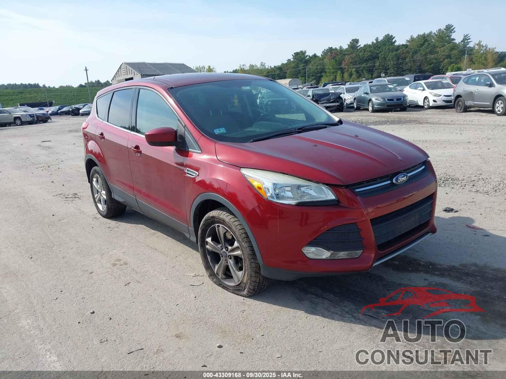 FORD ESCAPE 2014 - 1FMCU9GX8EUC89083