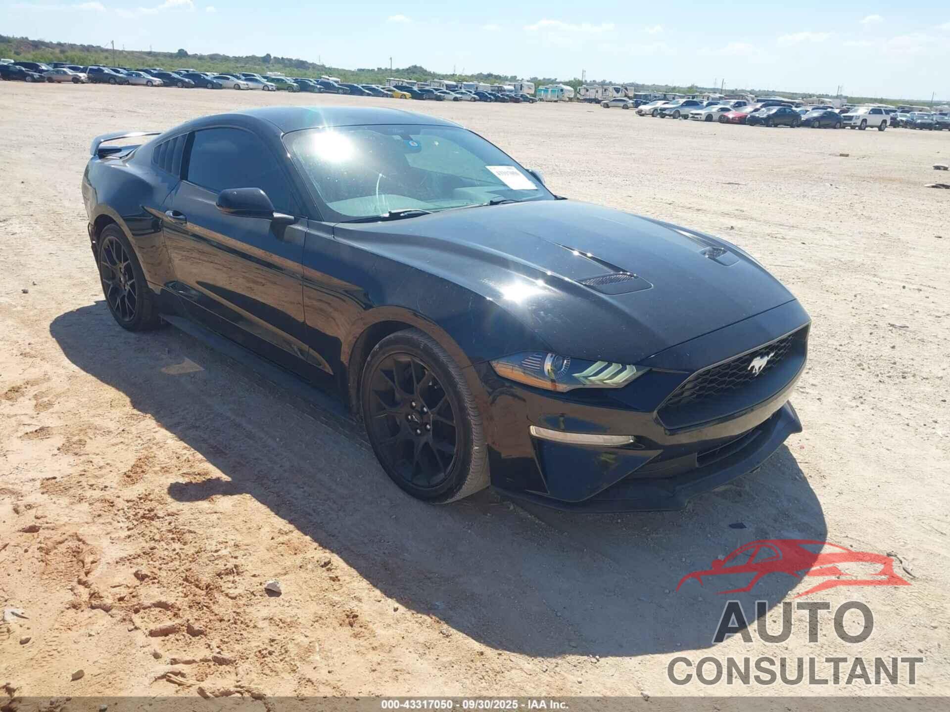 FORD MUSTANG 2019 - 1FA6P8TH7K5106088