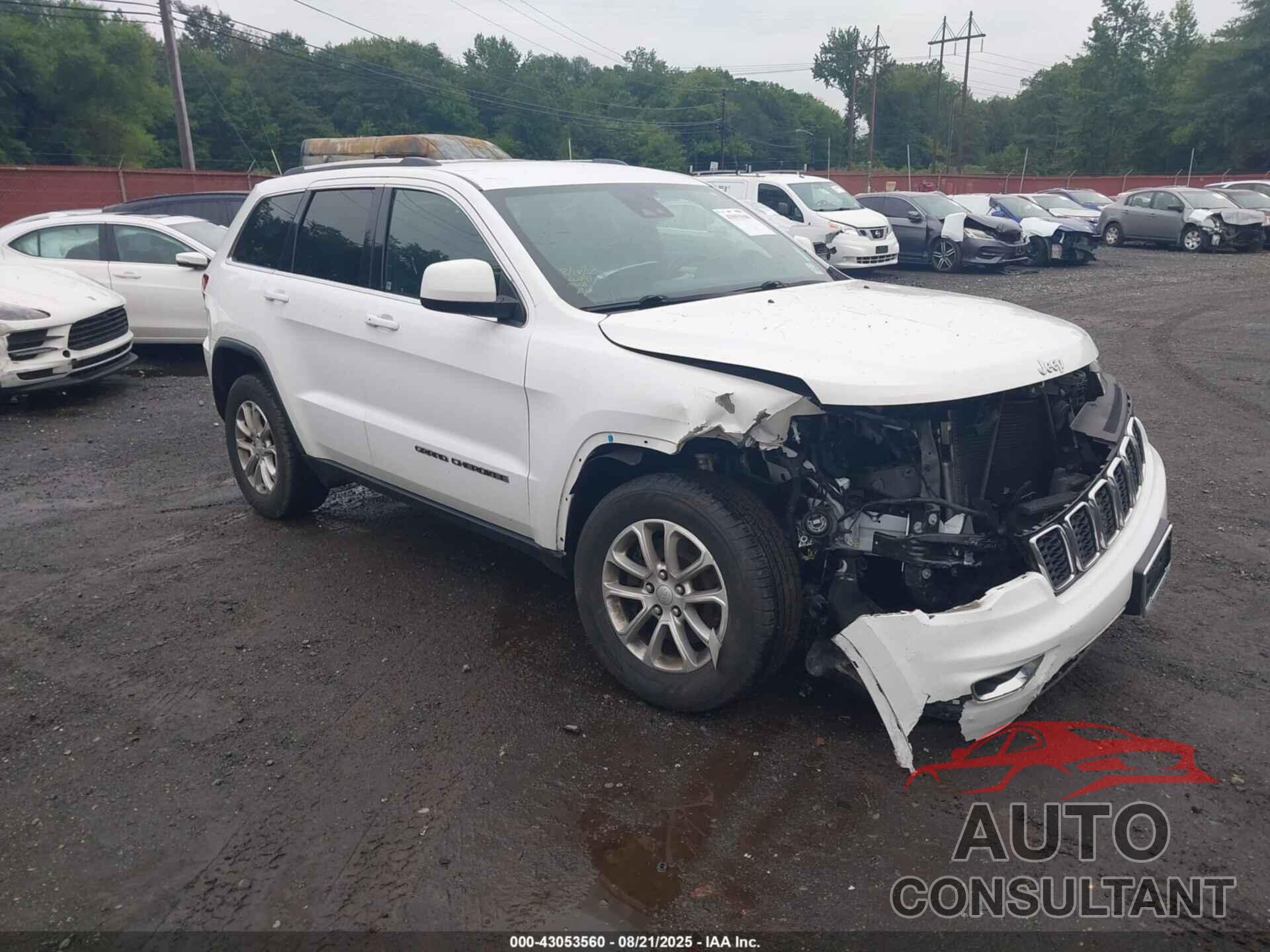 JEEP GRAND CHEROKEE 2021 - 1C4RJFAG9MC553253