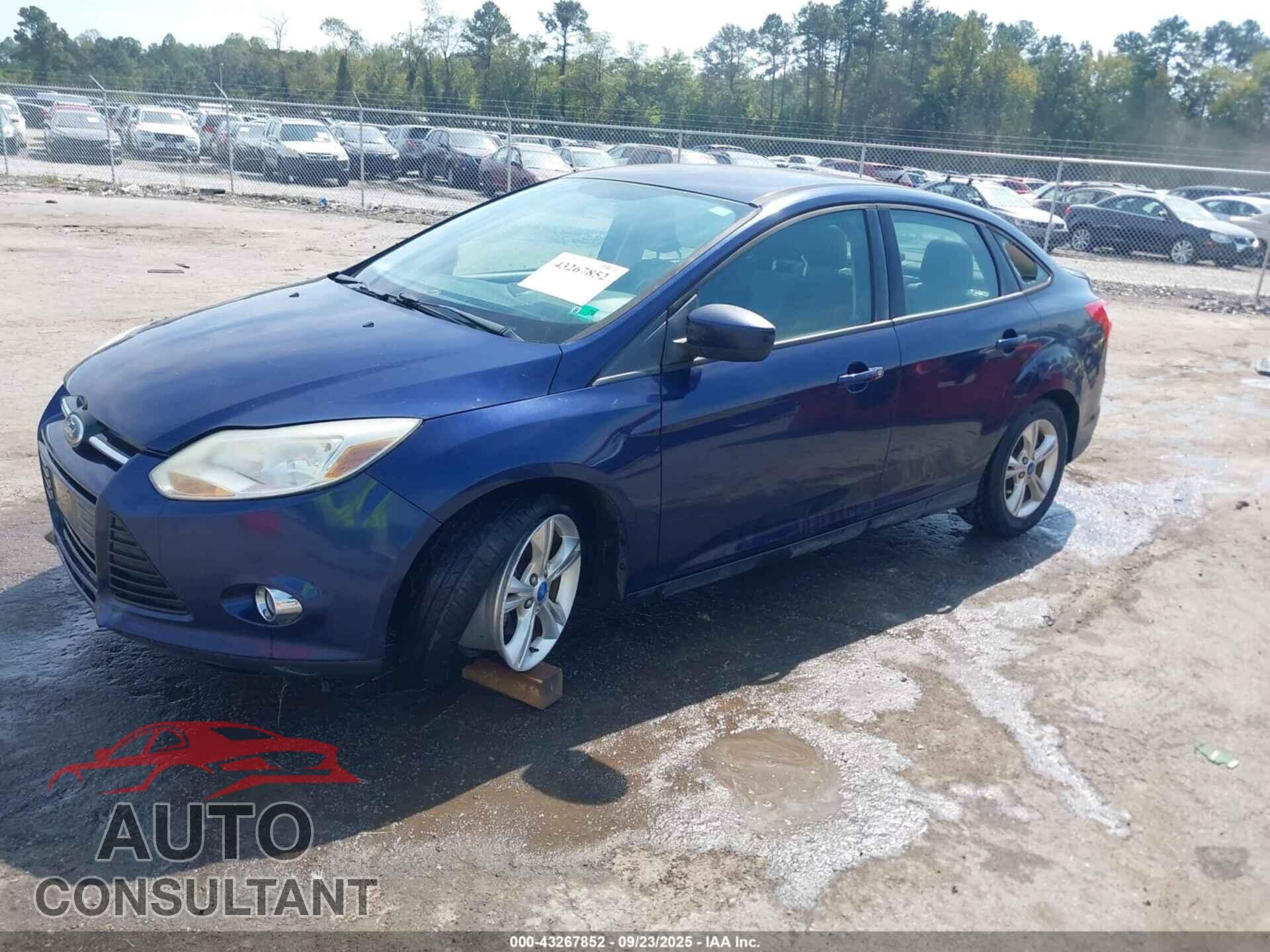 FORD FOCUS 2012 - 1FAHP3F24CL150307