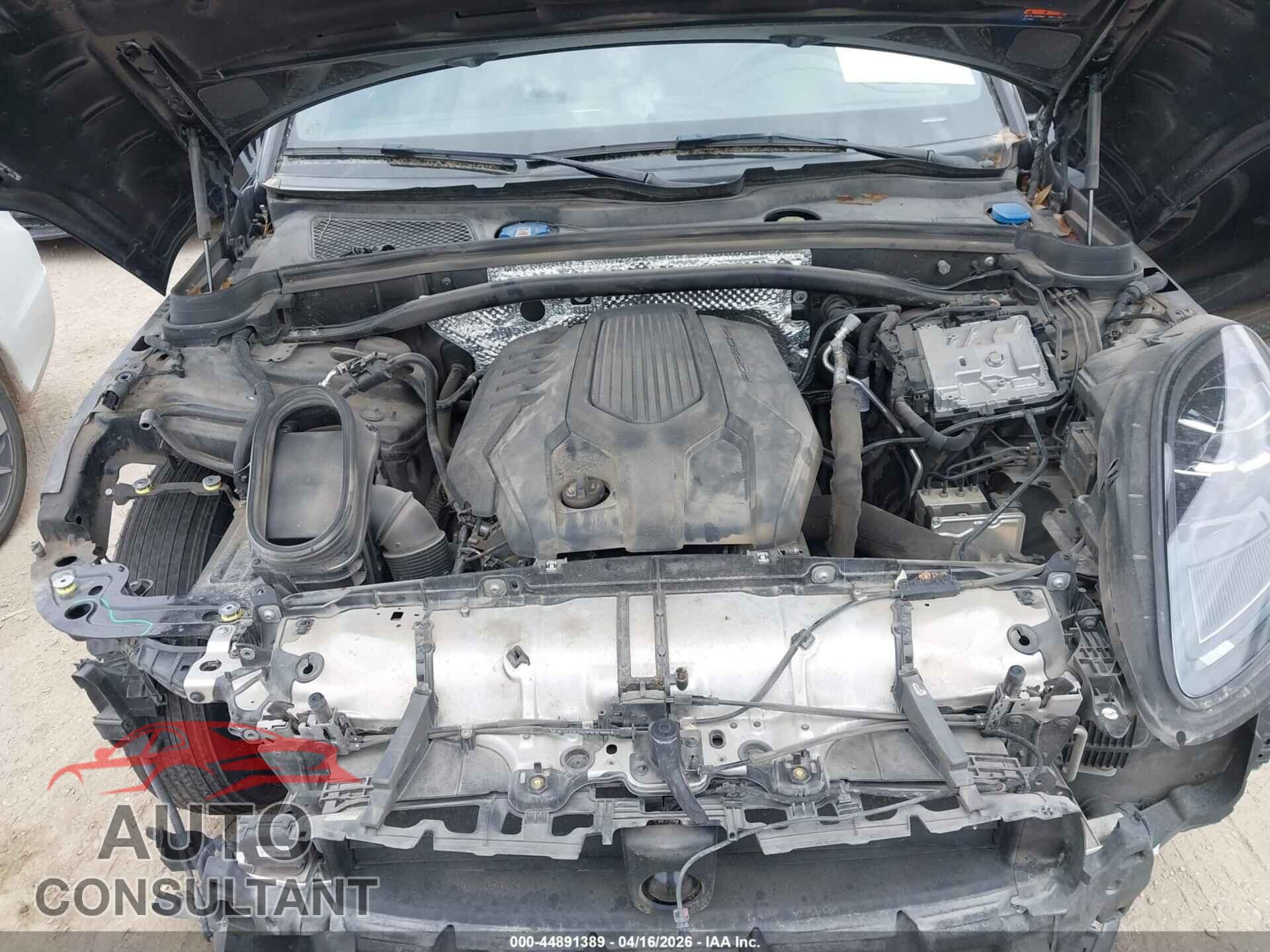 PORSCHE MACAN 2023 - WP1AA2A54PLB21399