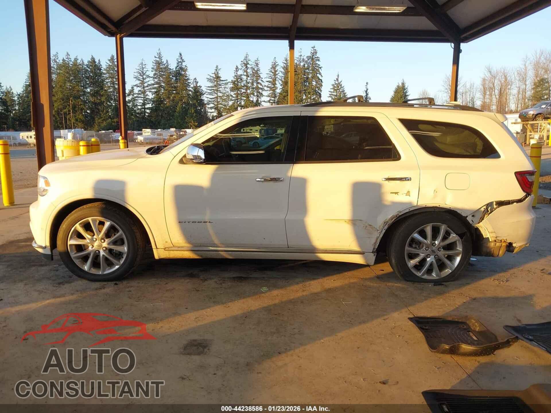 DODGE DURANGO 2019 - 1C4RDJEG2KC738259