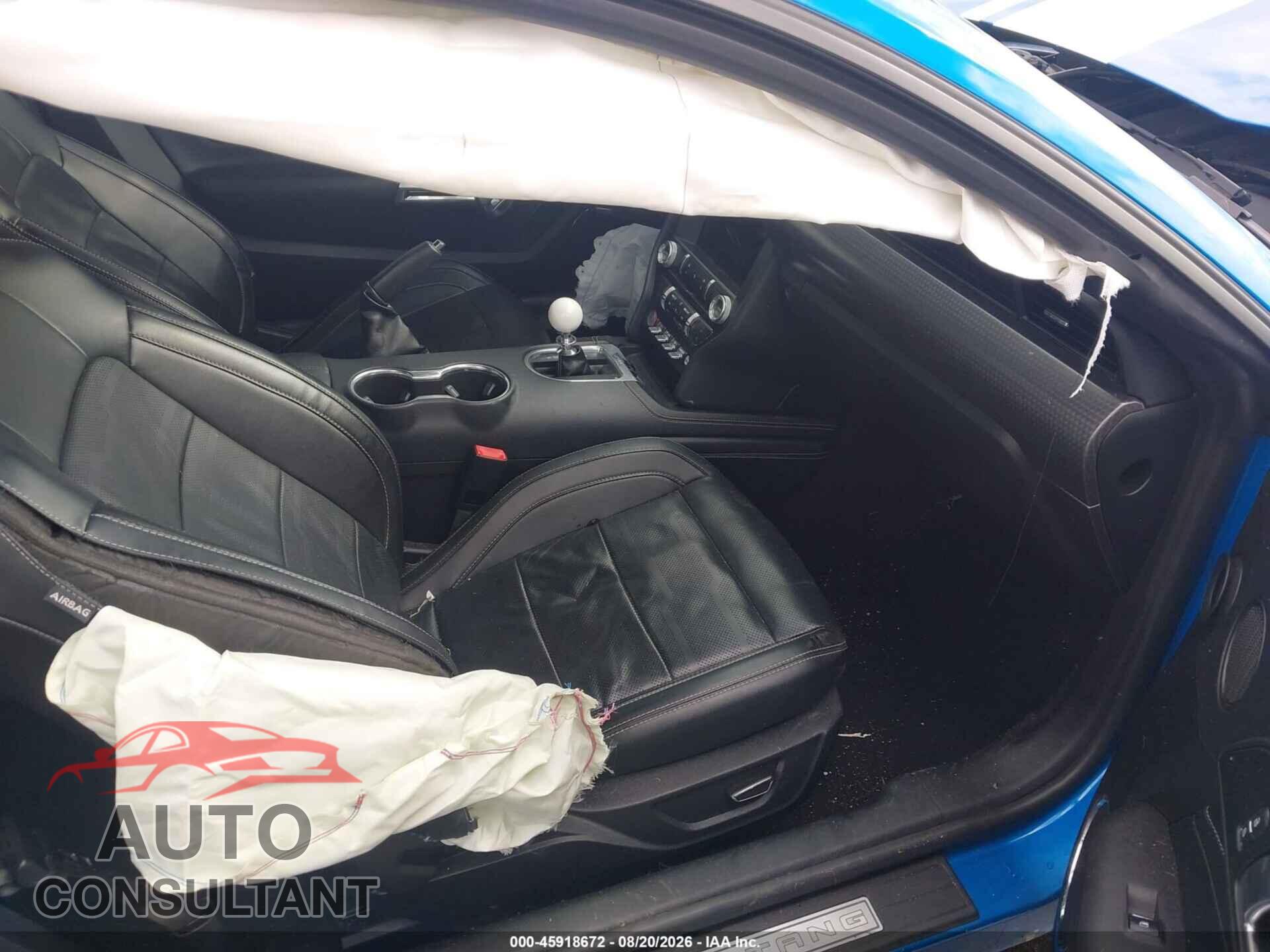 FORD MUSTANG 2019 - 1FA6P8CF4K5116463