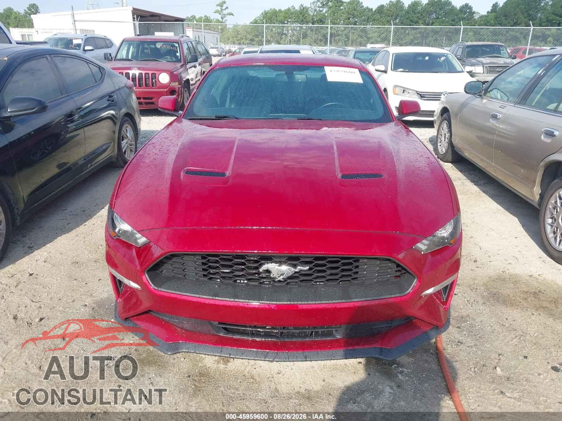 FORD MUSTANG 2019 - 1FA6P8TH2K5116477
