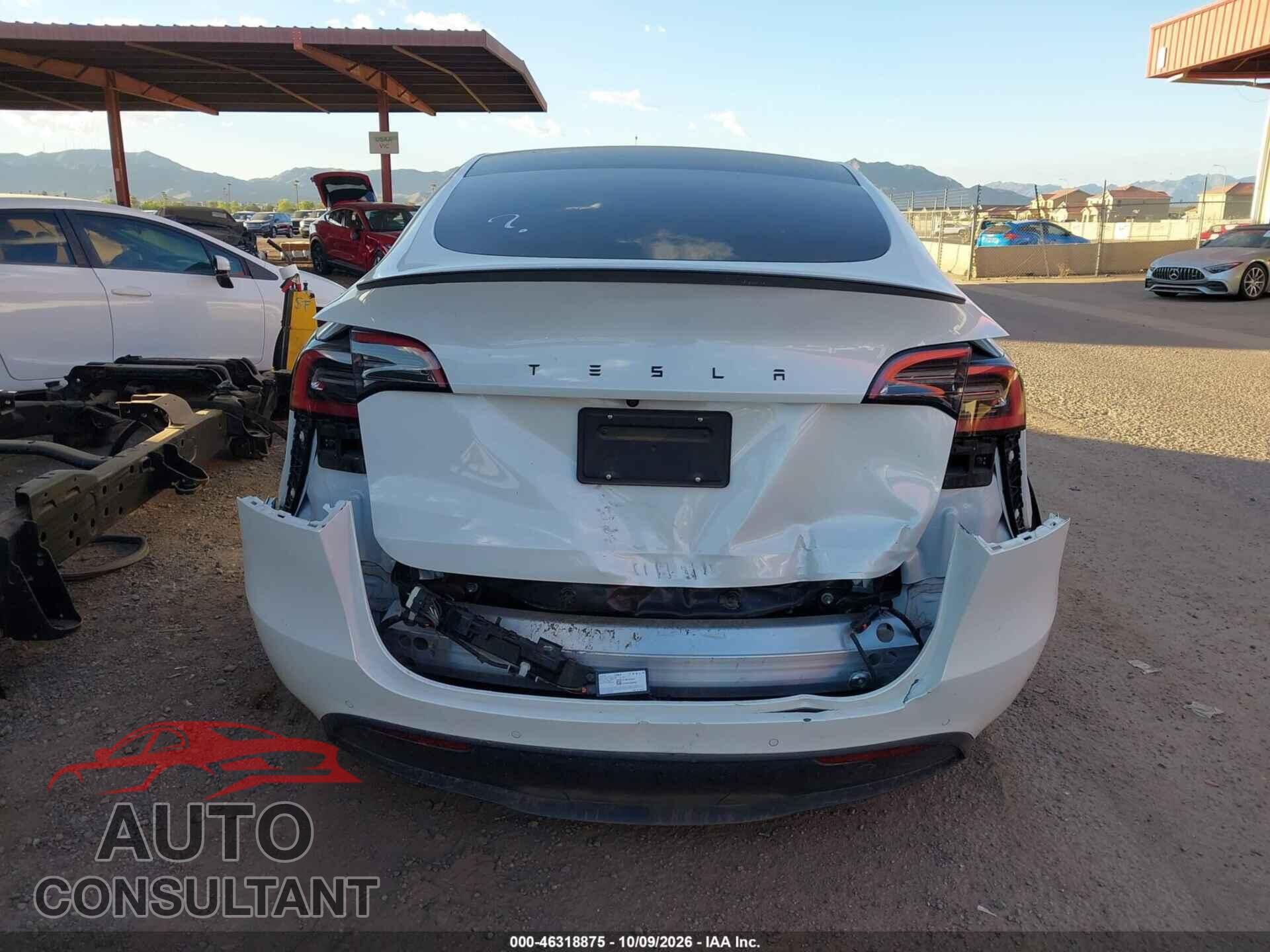 TESLA MODEL Y 2022 - 7SAYGDEF4NF347314