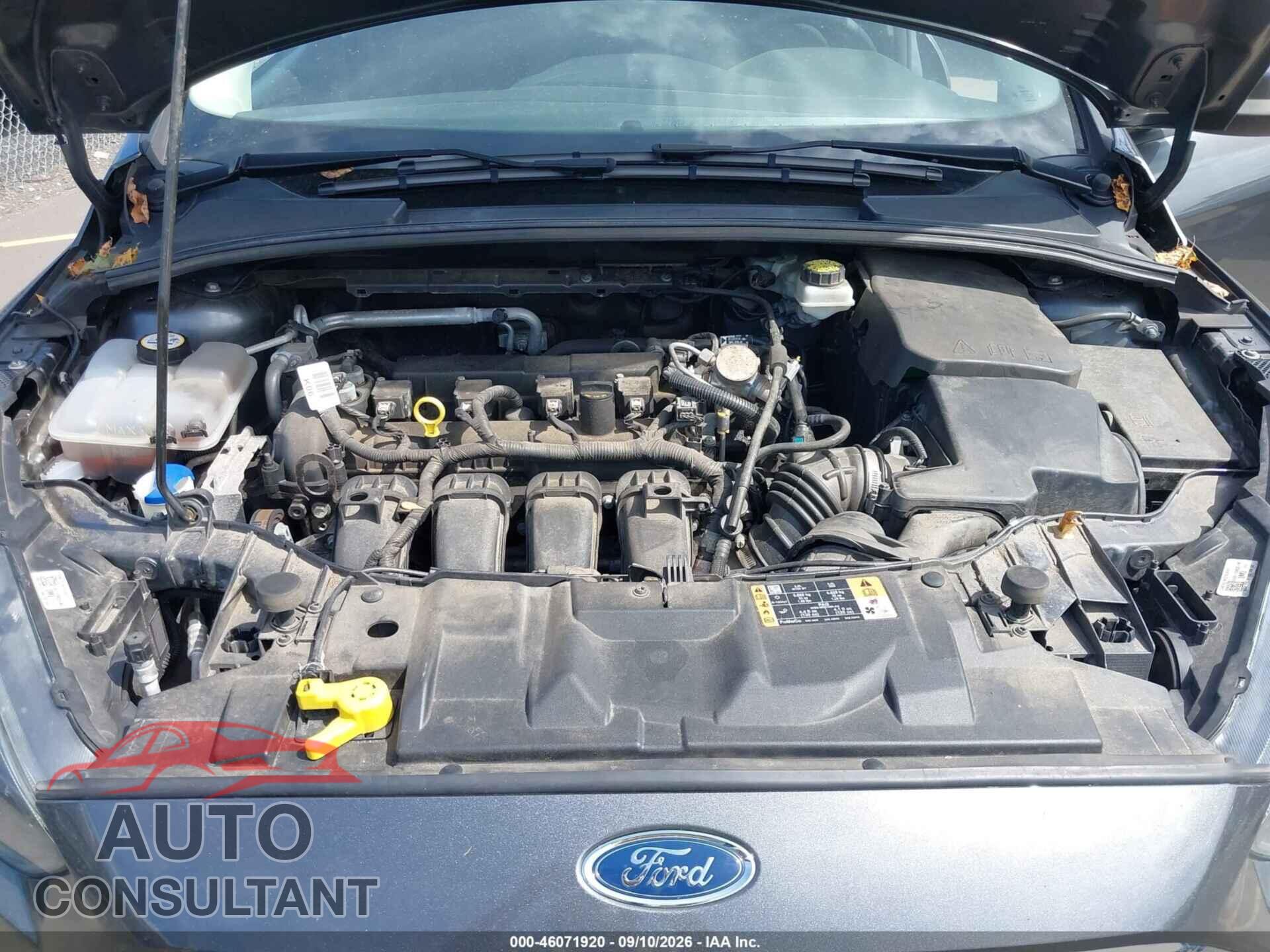 FORD FOCUS 2017 - 1FADP3M21HL289044
