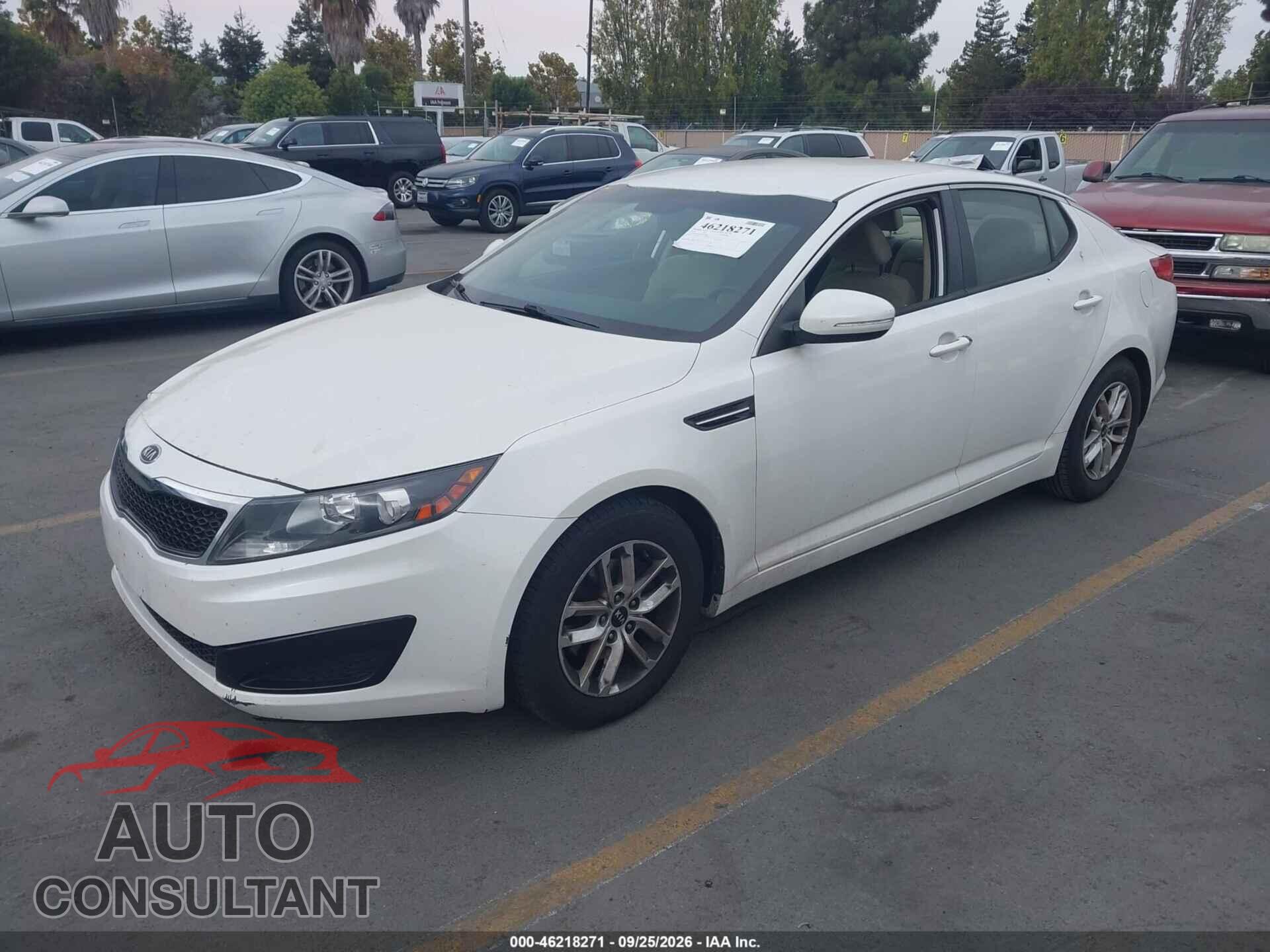 KIA OPTIMA 2011 - KNAGM4A72B5080944