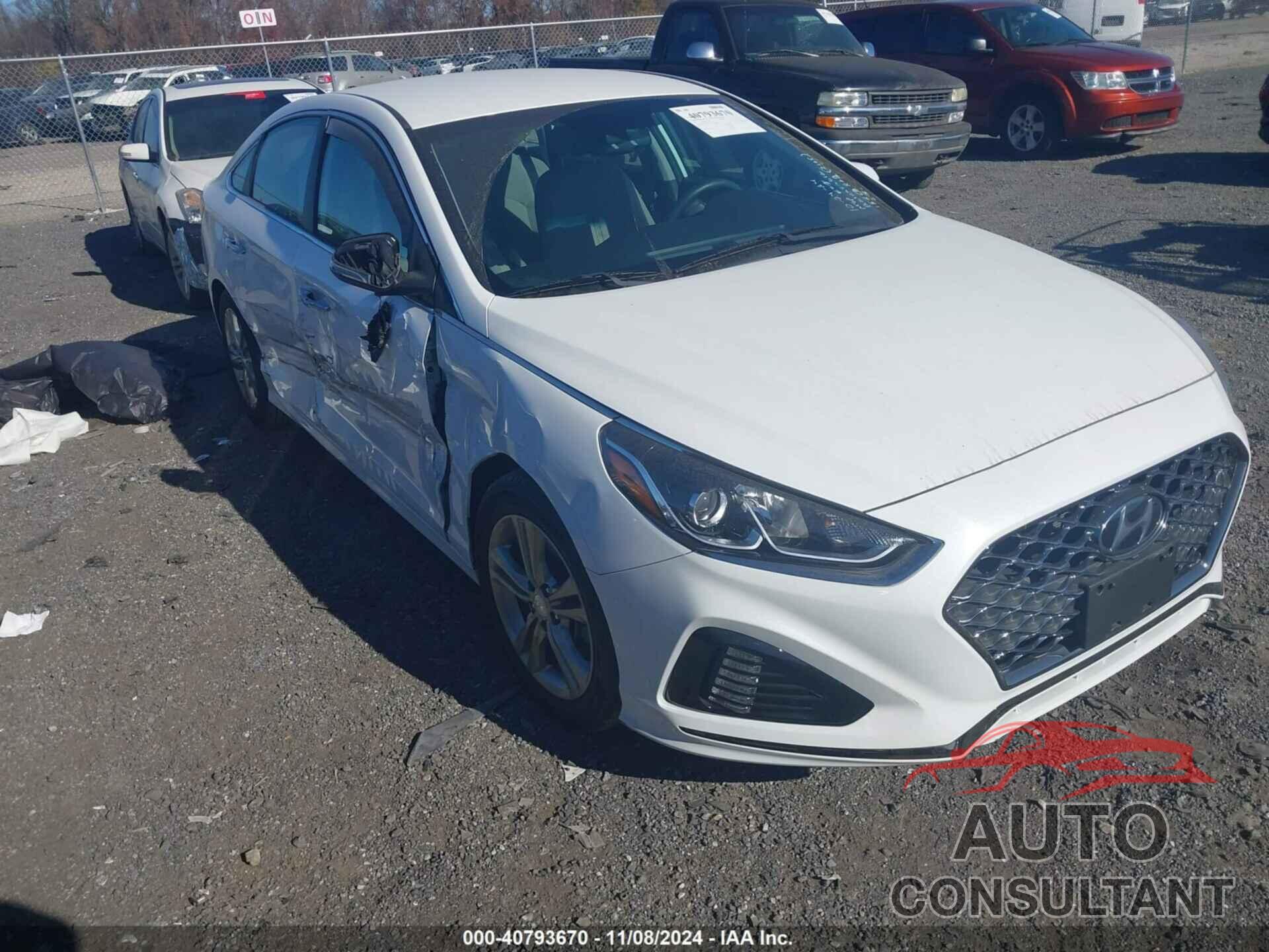 HYUNDAI SONATA 2019 - 5NPE34AF8KH775305