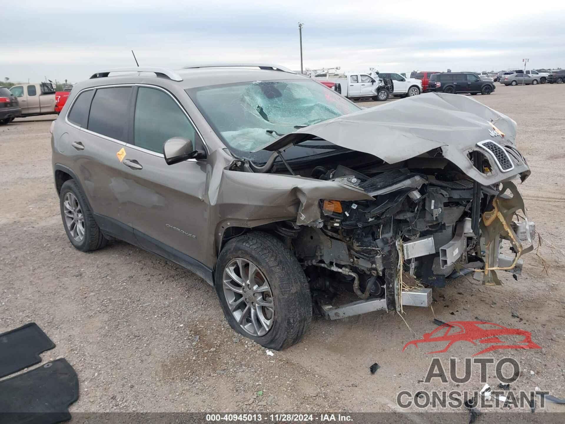 JEEP CHEROKEE 2019 - 1C4PJLLB6KD265799