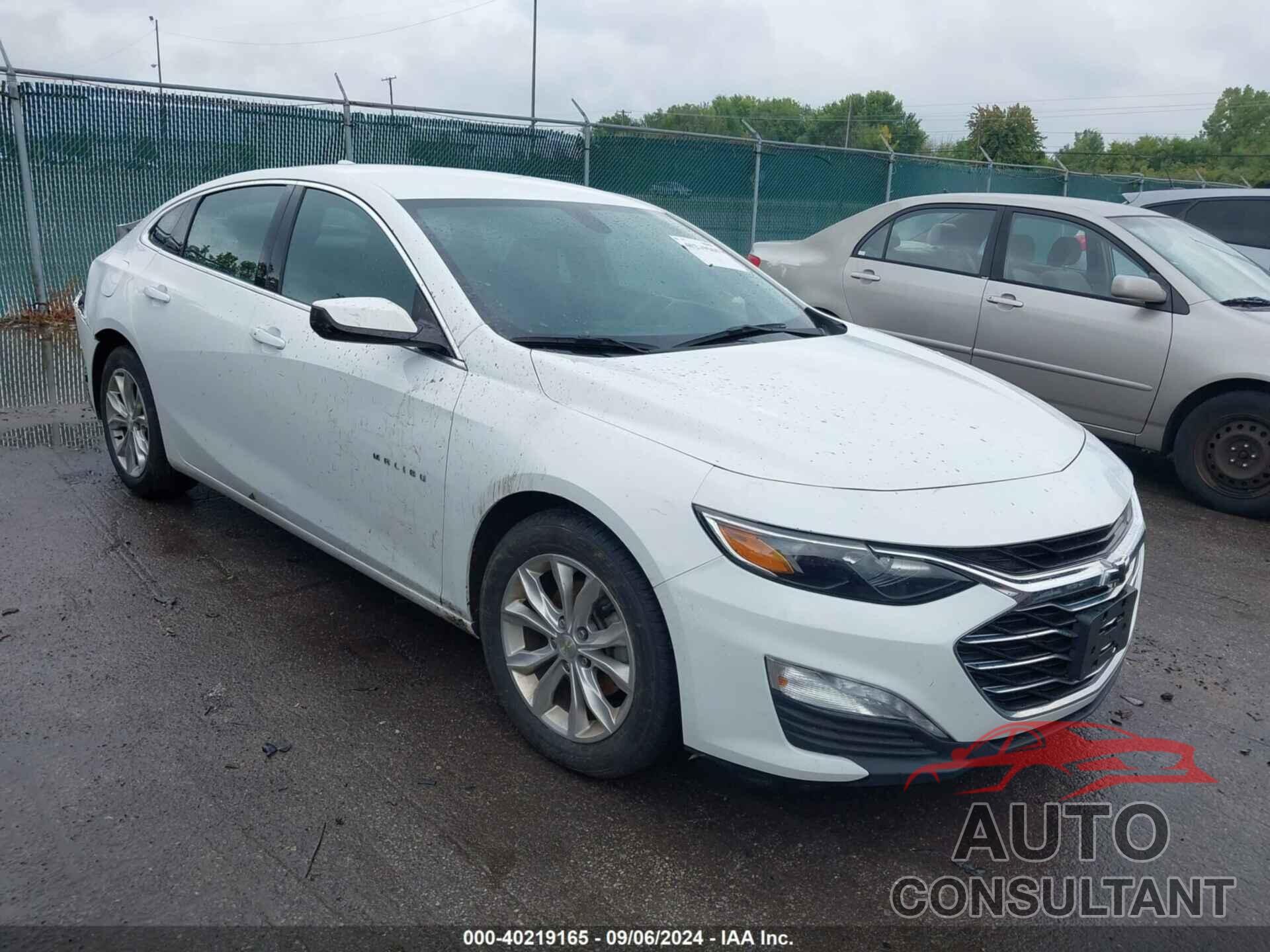 CHEVROLET MALIBU 2019 - 1G1ZD5STXKF119523