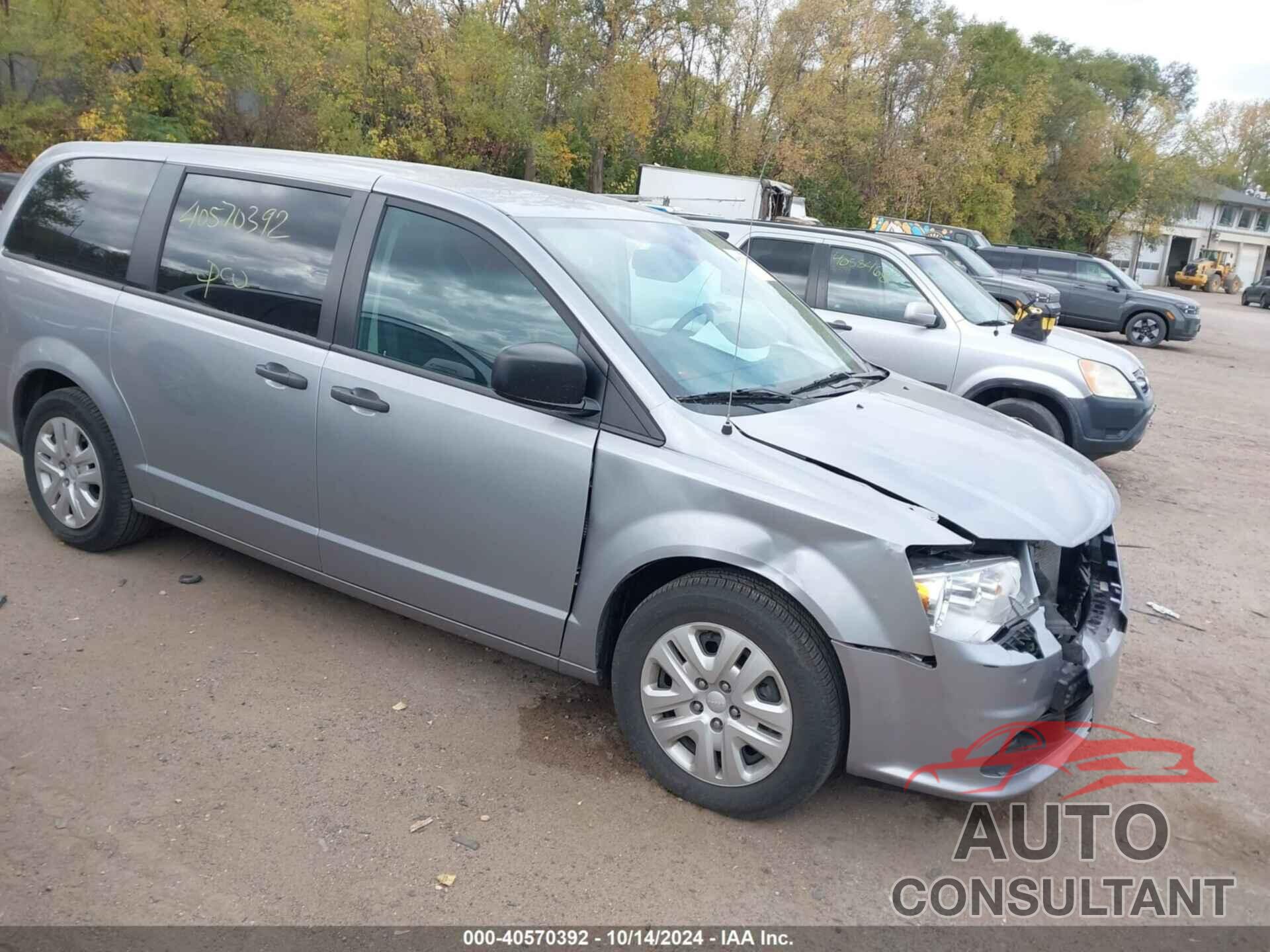 DODGE GRAND CARAVAN 2019 - 2C4RDGBG1KR796796