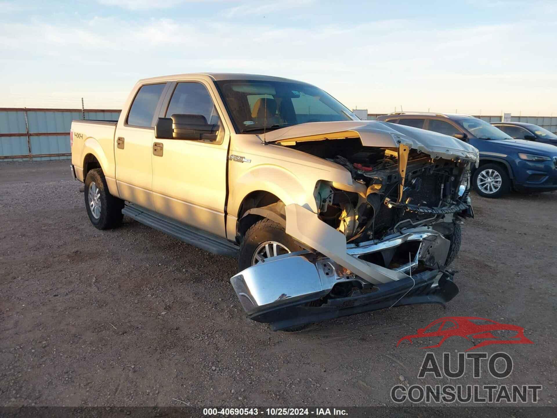 FORD F-150 2009 - 1FTPW14V49KC72769