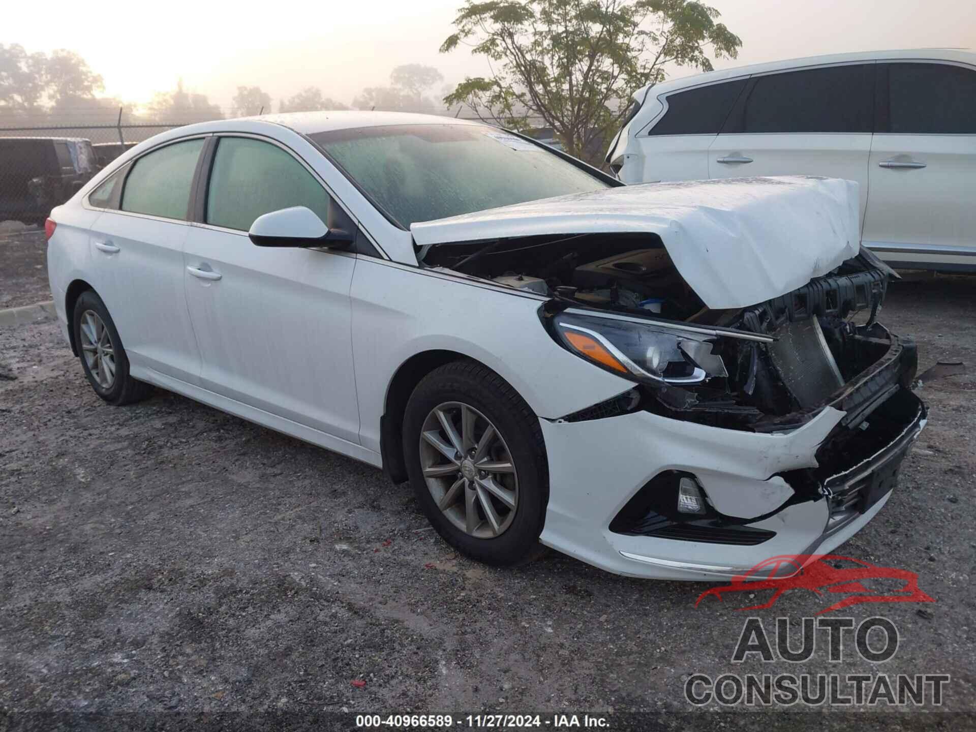 HYUNDAI SONATA 2019 - 5NPE24AF7KH811357