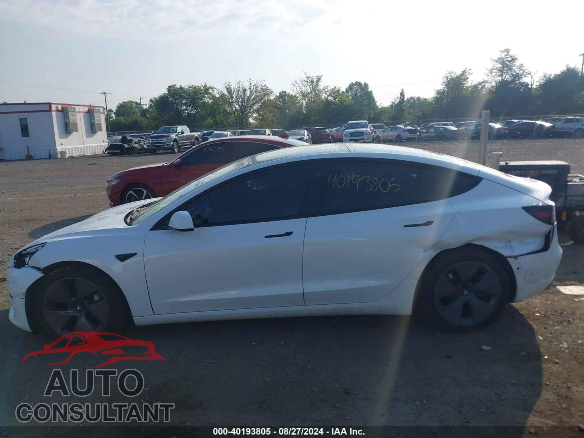 TESLA MODEL 3 2021 - 5YJ3E1EA9MF094568