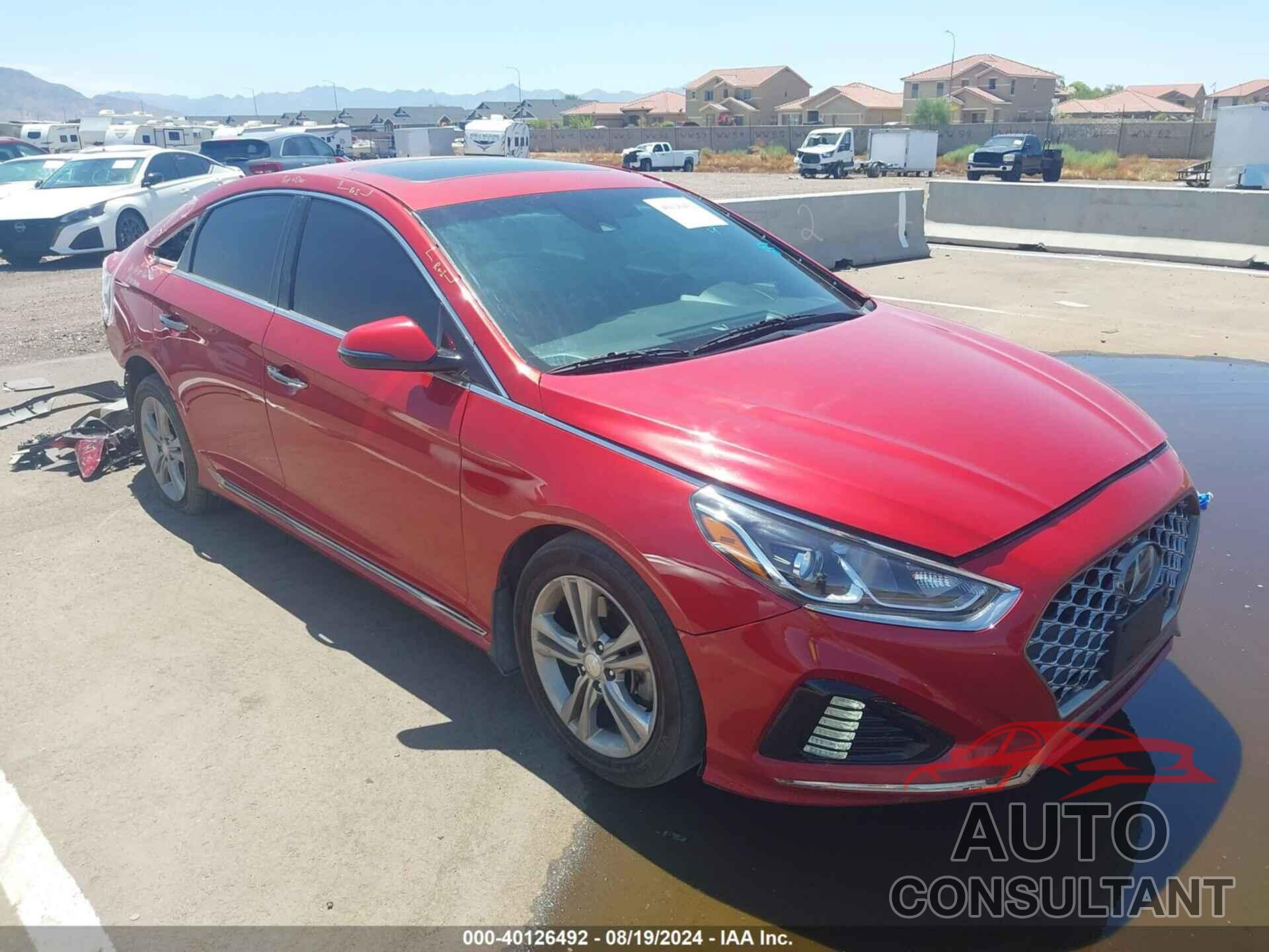 HYUNDAI SONATA 2019 - 5NPE34AF3KH813250