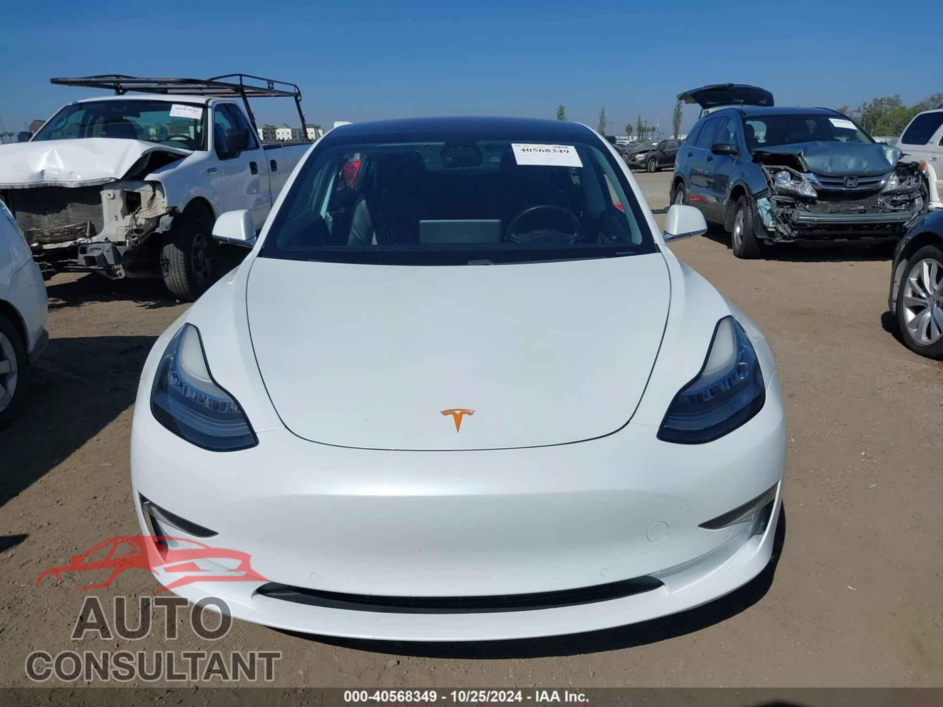 TESLA MODEL 3 2019 - 5YJ3E1EA5KF314088