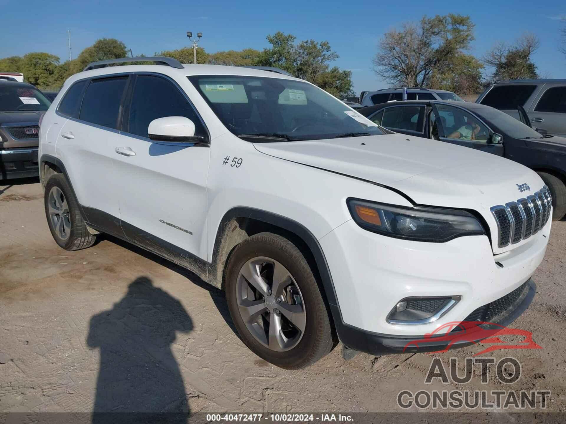 JEEP CHEROKEE 2019 - 1C4PJMDX1KD136143