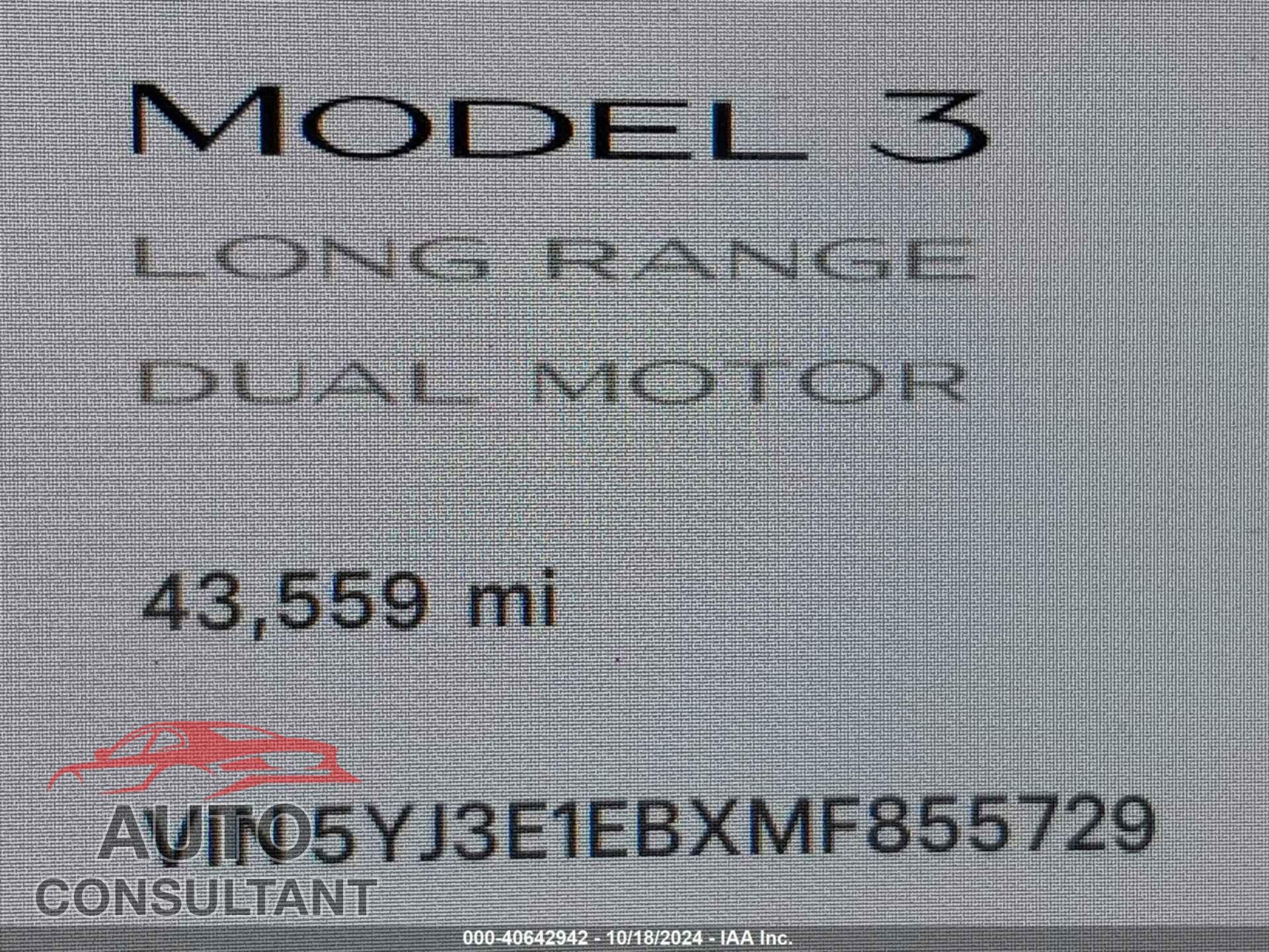 TESLA MODEL 3 2021 - 5YJ3E1EBXMF855729