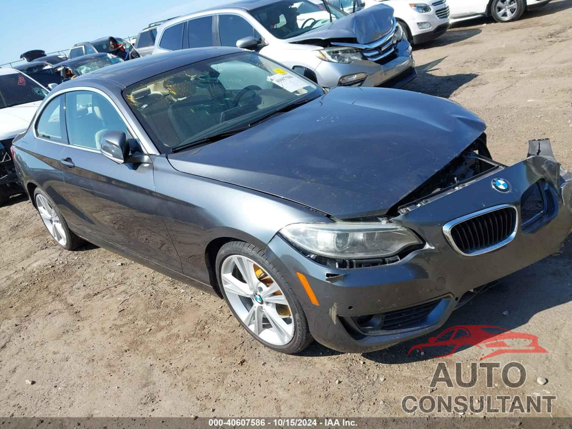 BMW 228I 2014 - WBA1F5C5XEV255933