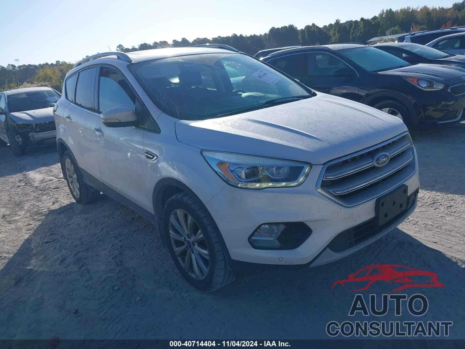 FORD ESCAPE 2017 - 1FMCU9J95HUB91031