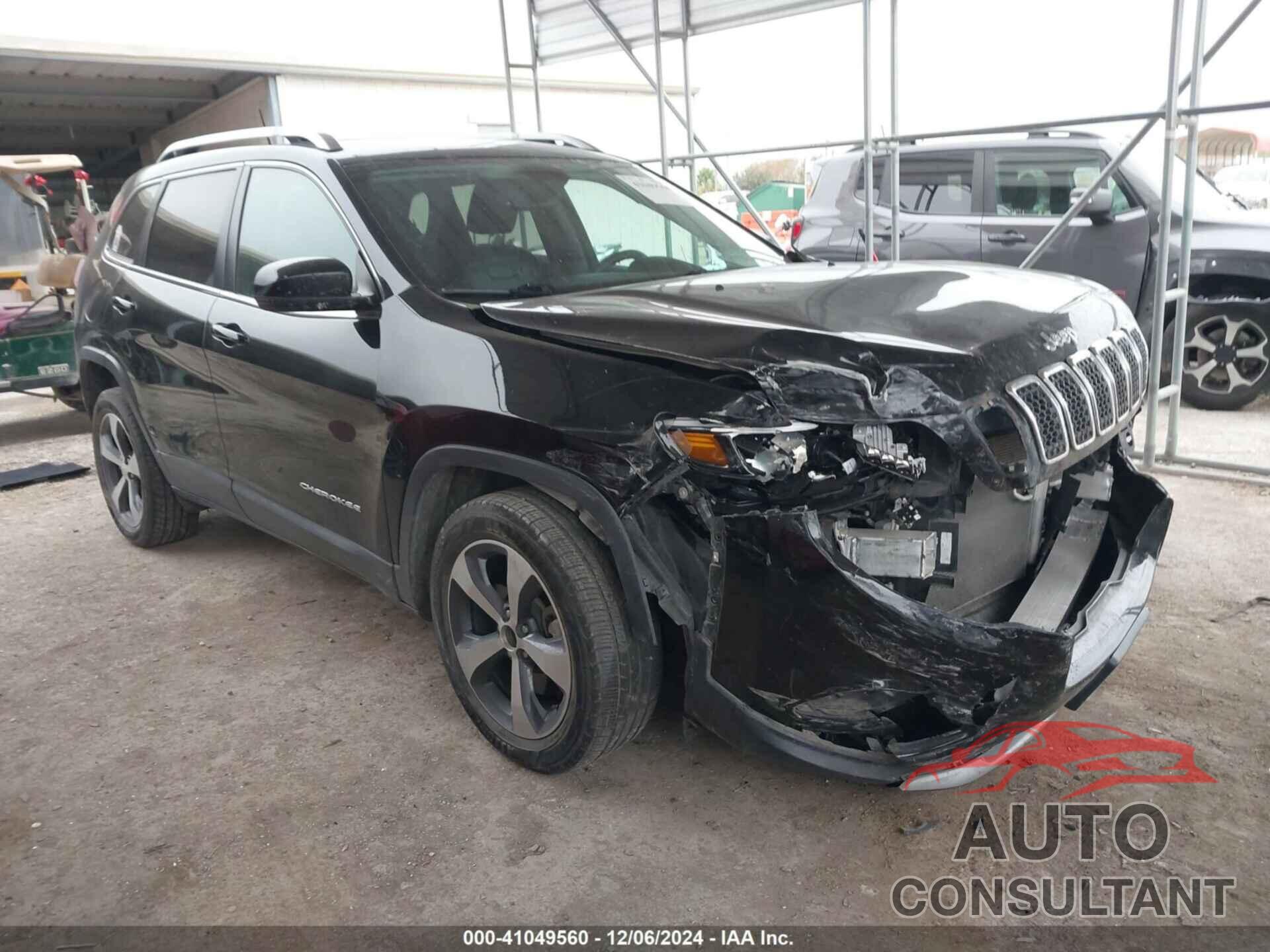 JEEP CHEROKEE 2019 - 1C4PJLDB3KD416127