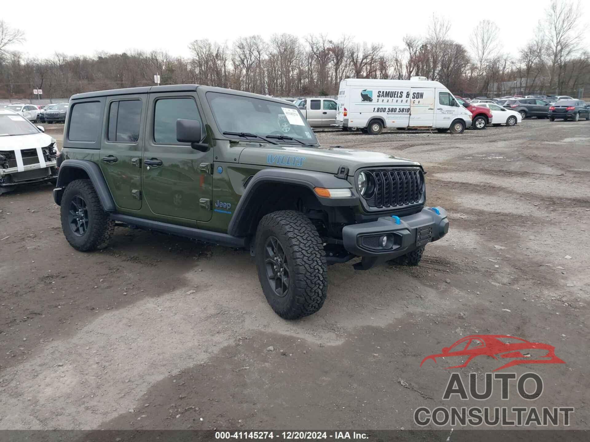 JEEP WRANGLER 2024 - 1C4RJXN64RW163089