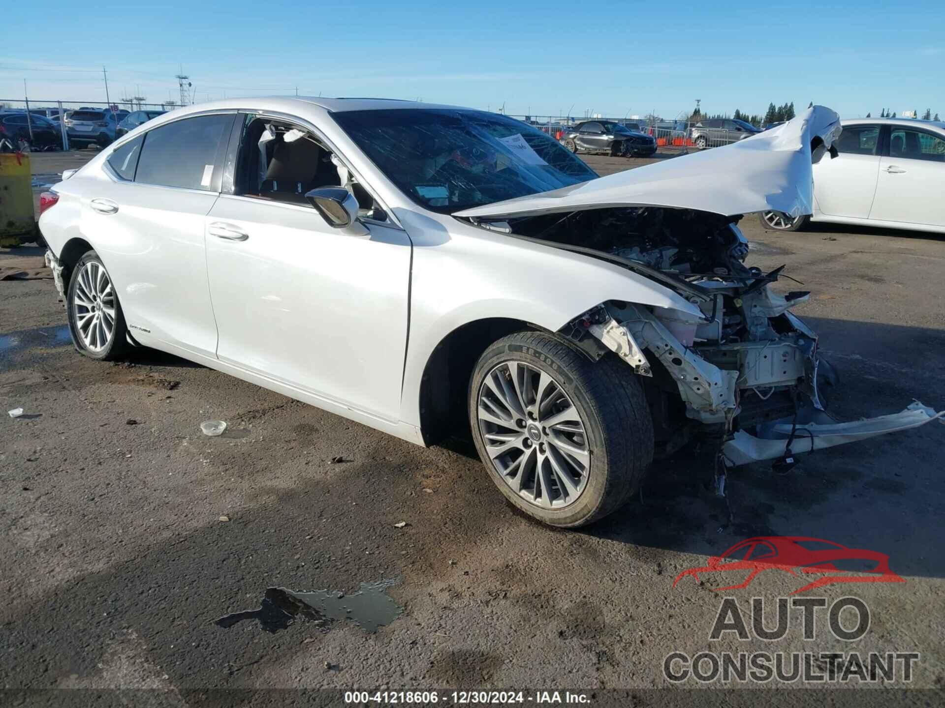 LEXUS ES 300H 2019 - 58AB21B12KU001357