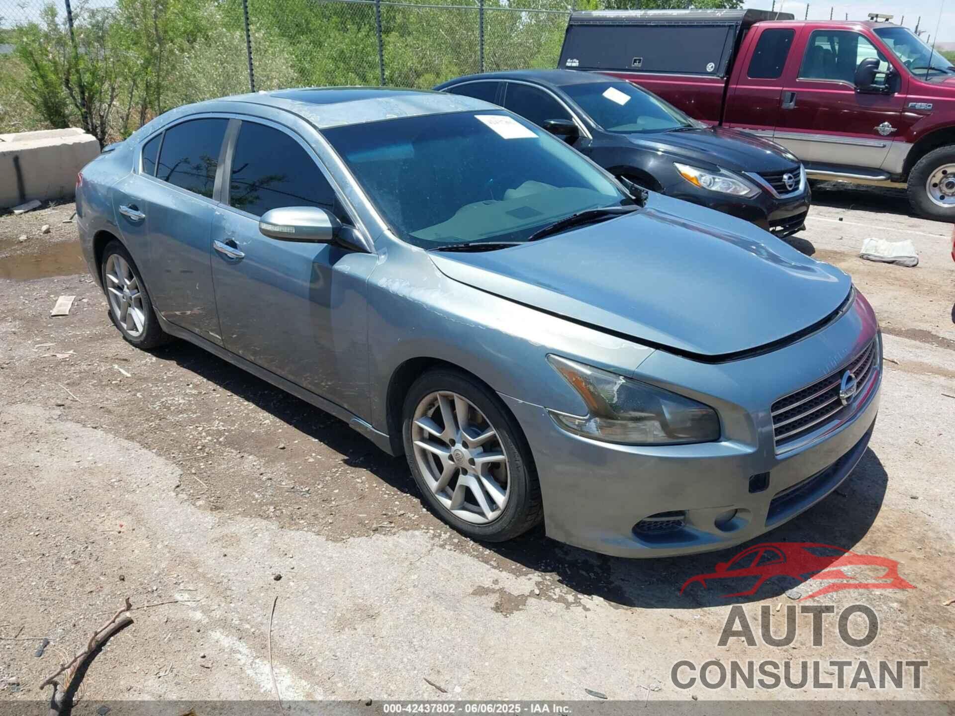 NISSAN MAXIMA 2010 - 1N4AA5AP6AC840462