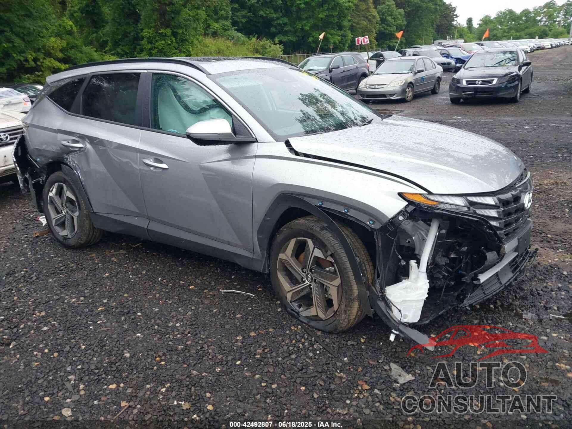HYUNDAI TUCSON 2024 - 5NMJFCDE8RH389669