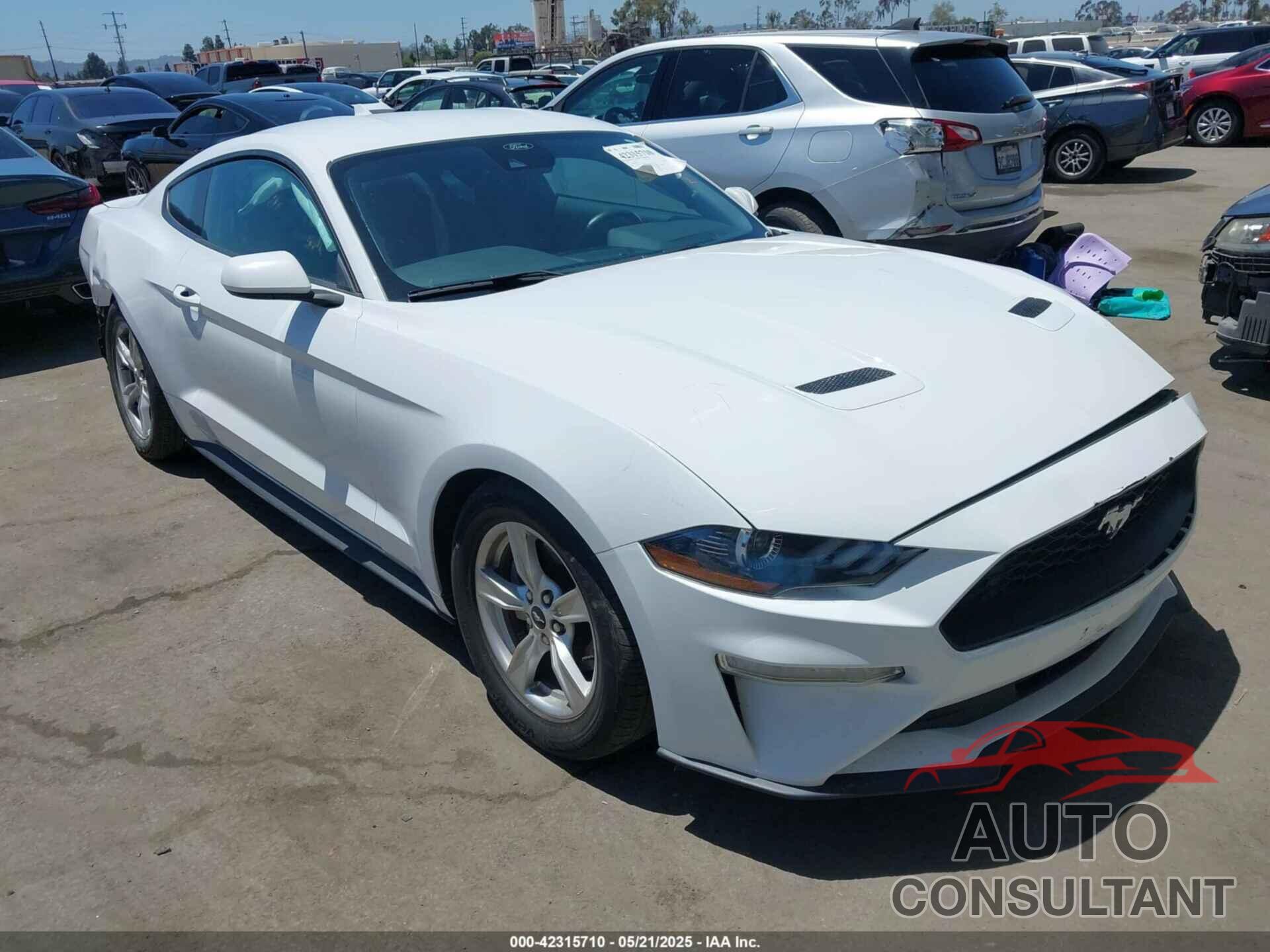 FORD MUSTANG 2021 - 1FA6P8TH8M5157702
