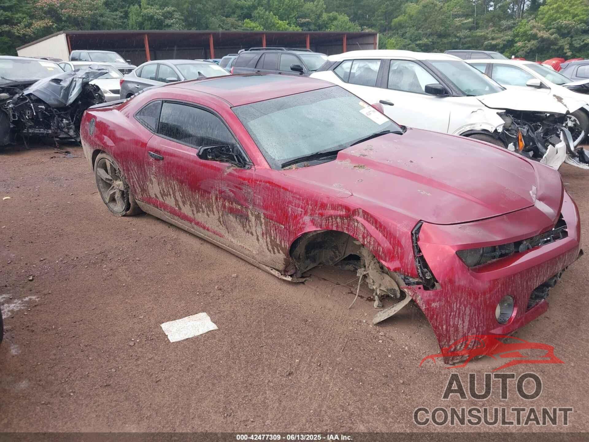 CHEVROLET CAMARO 2011 - 2G1FB1ED7B9151649