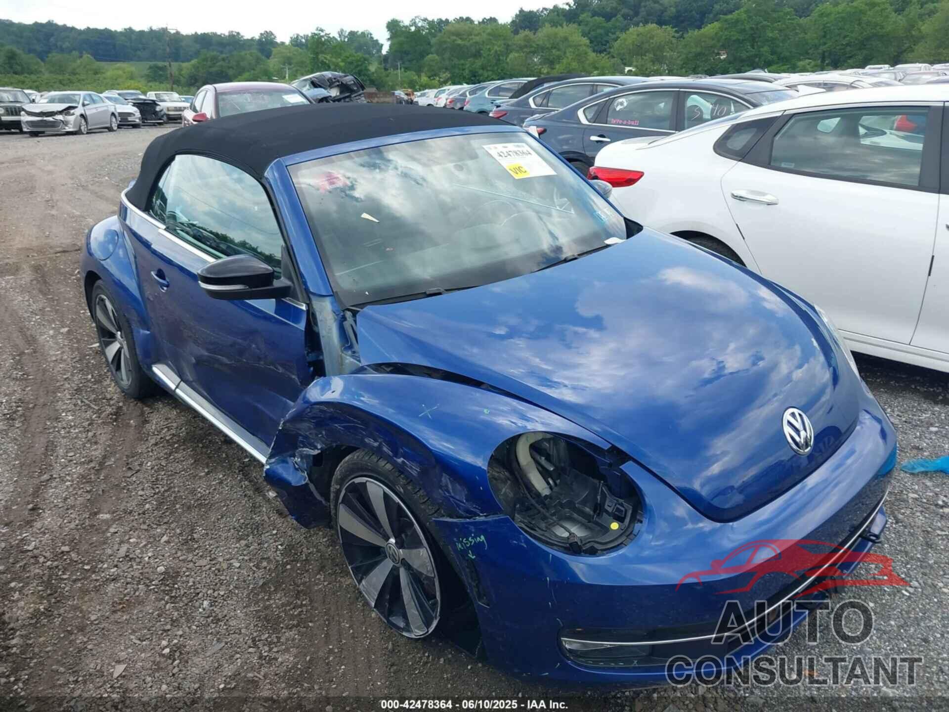 VOLKSWAGEN BEETLE 2013 - 3VW8A7AT4DM817716