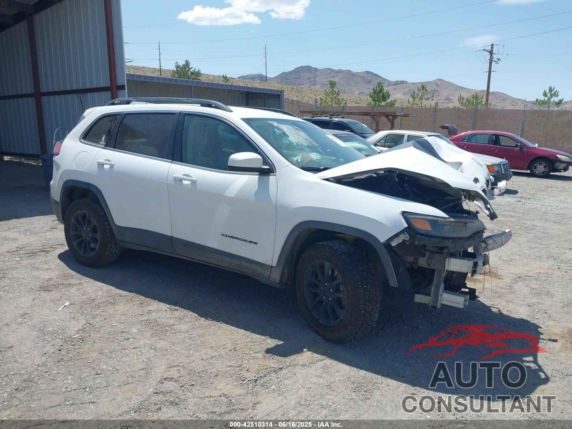JEEP CHEROKEE 2019 - 1C4PJMCB0KD161976