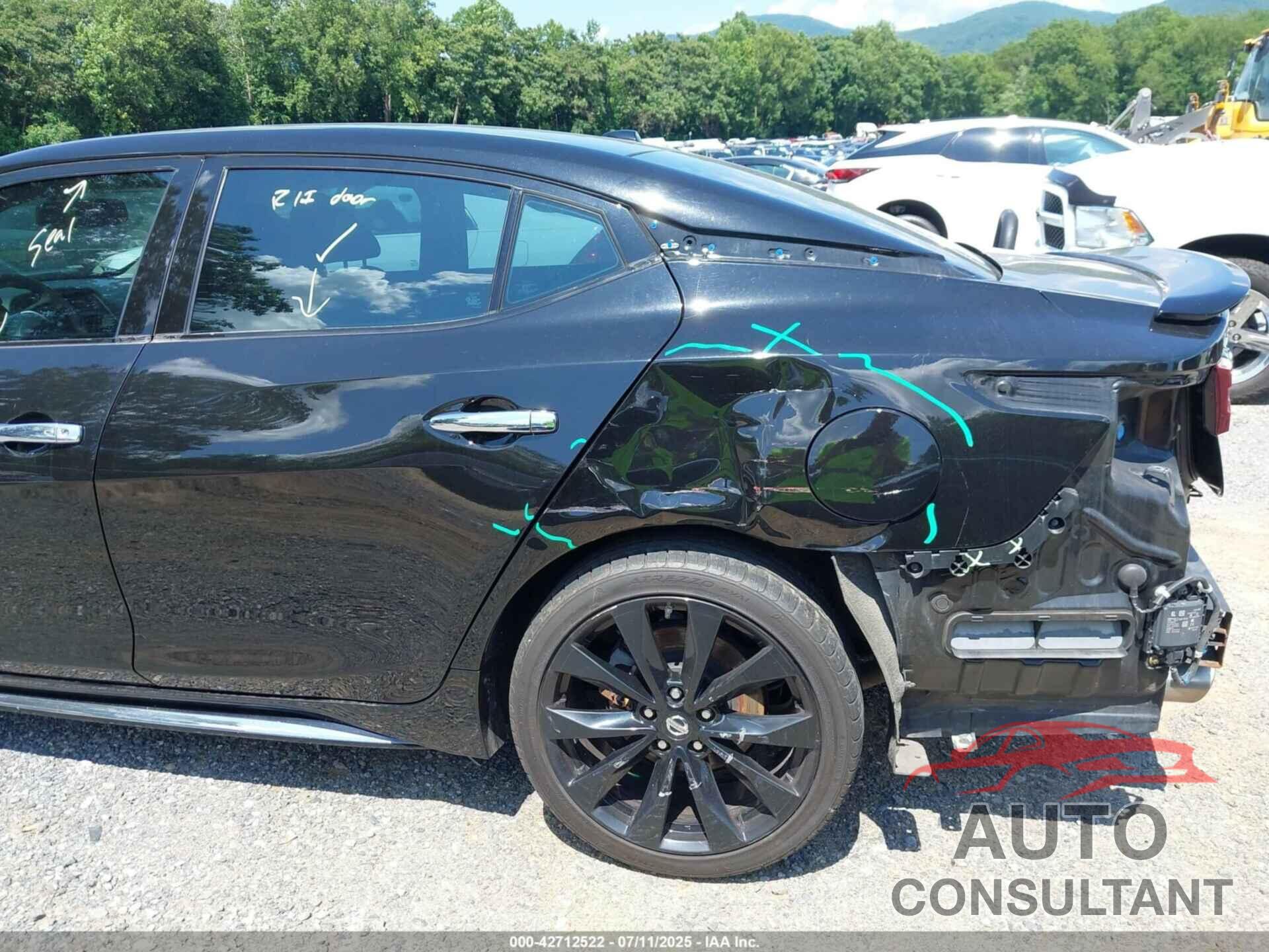 NISSAN MAXIMA 2017 - 1N4AA6AP3HC450693