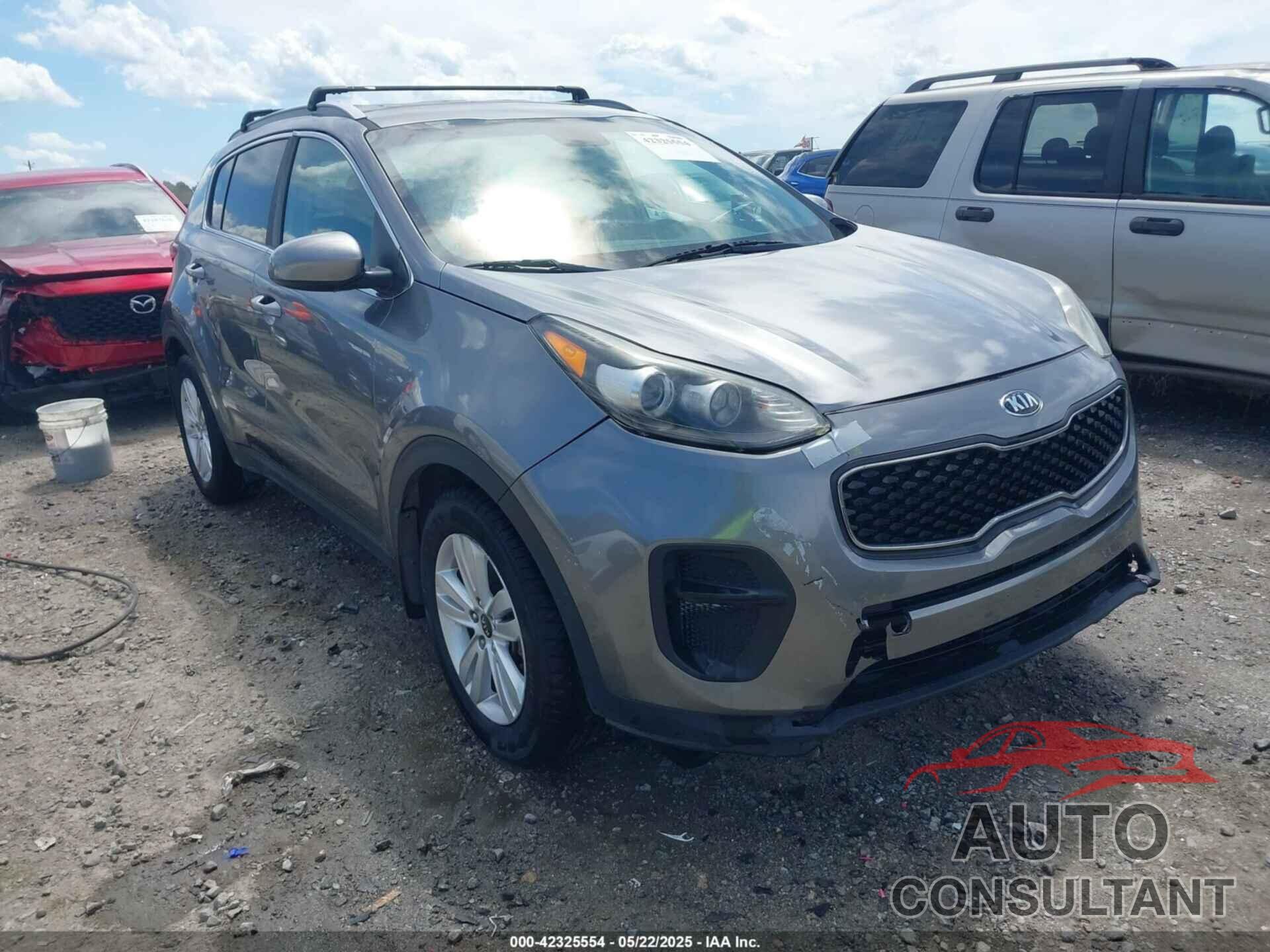 KIA SPORTAGE 2019 - KNDPM3ACXK7545596