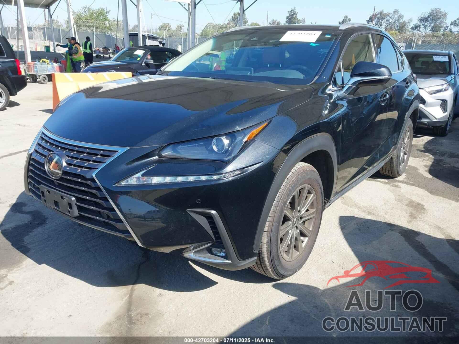 LEXUS NX 300 2019 - JTJYARBZ3K2135347