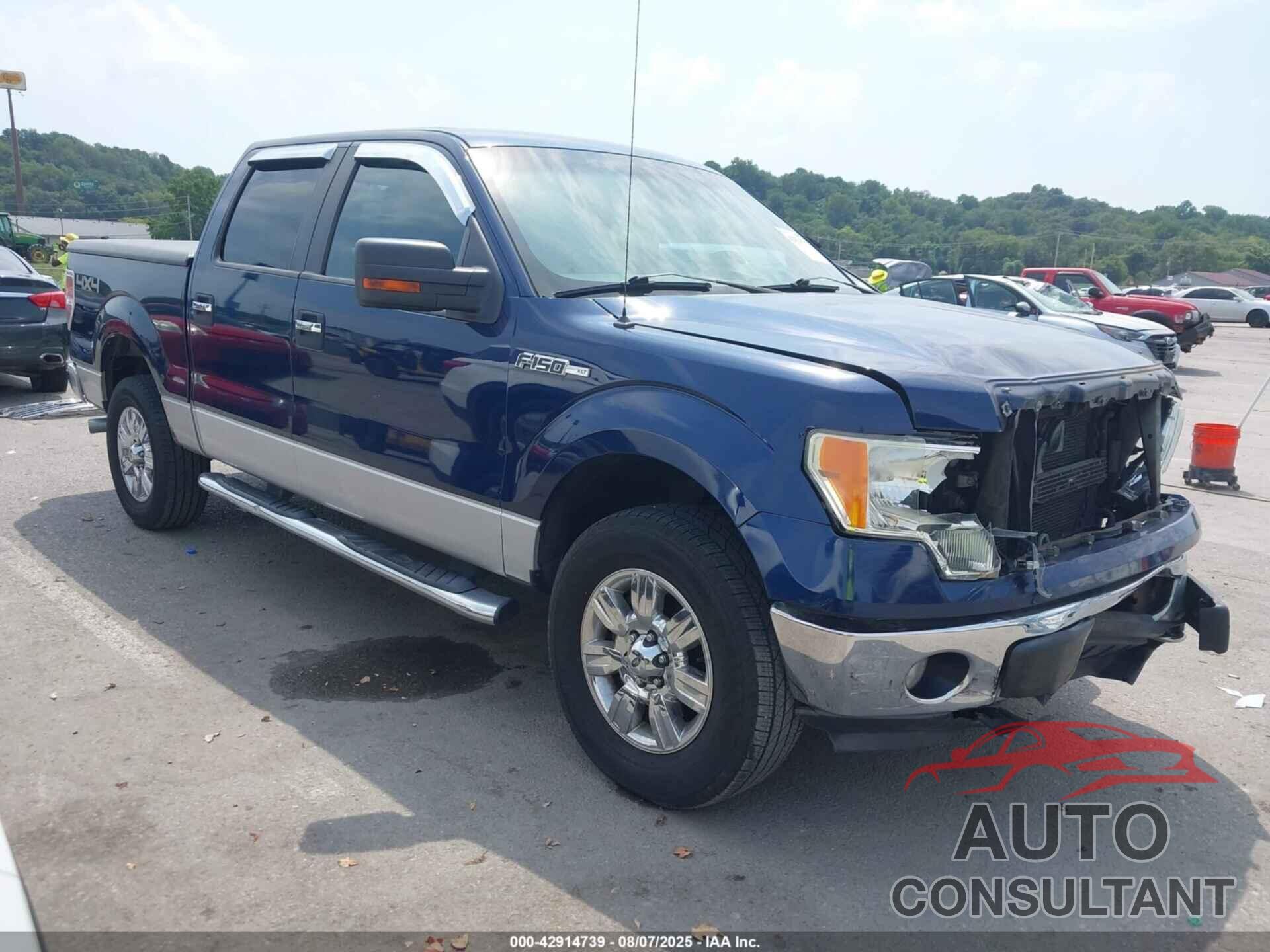 FORD F-150 2010 - 1FTEW1E87AFC68521