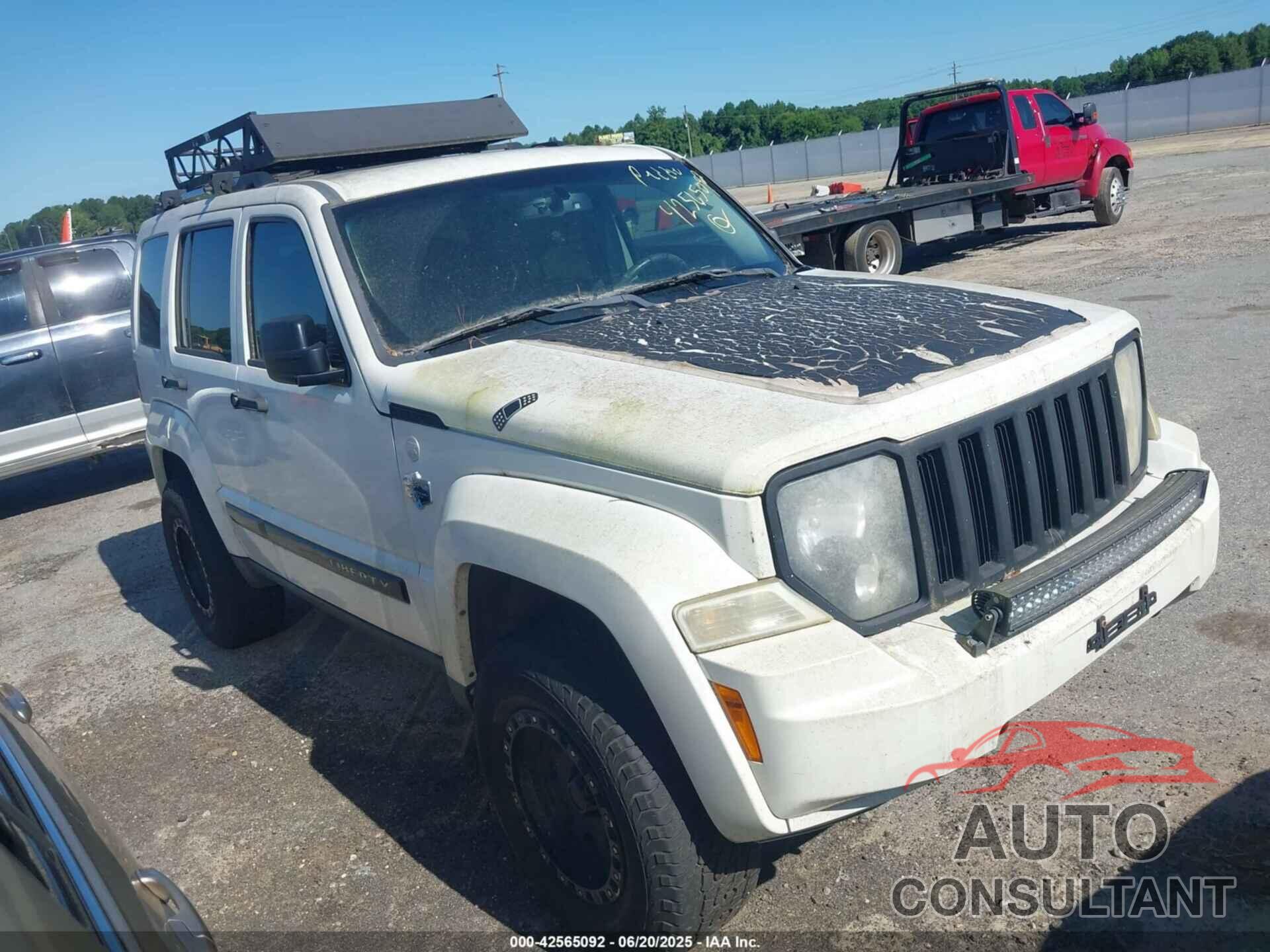 JEEP LIBERTY 2010 - 1J4PN5GK0AW113959