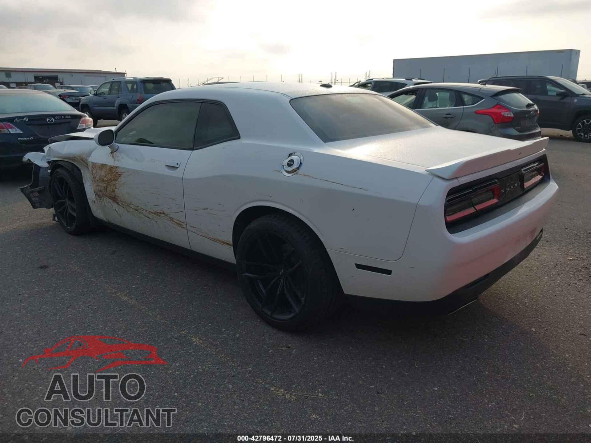 DODGE CHALLENGER 2019 - 2C3CDZAG9KH668643