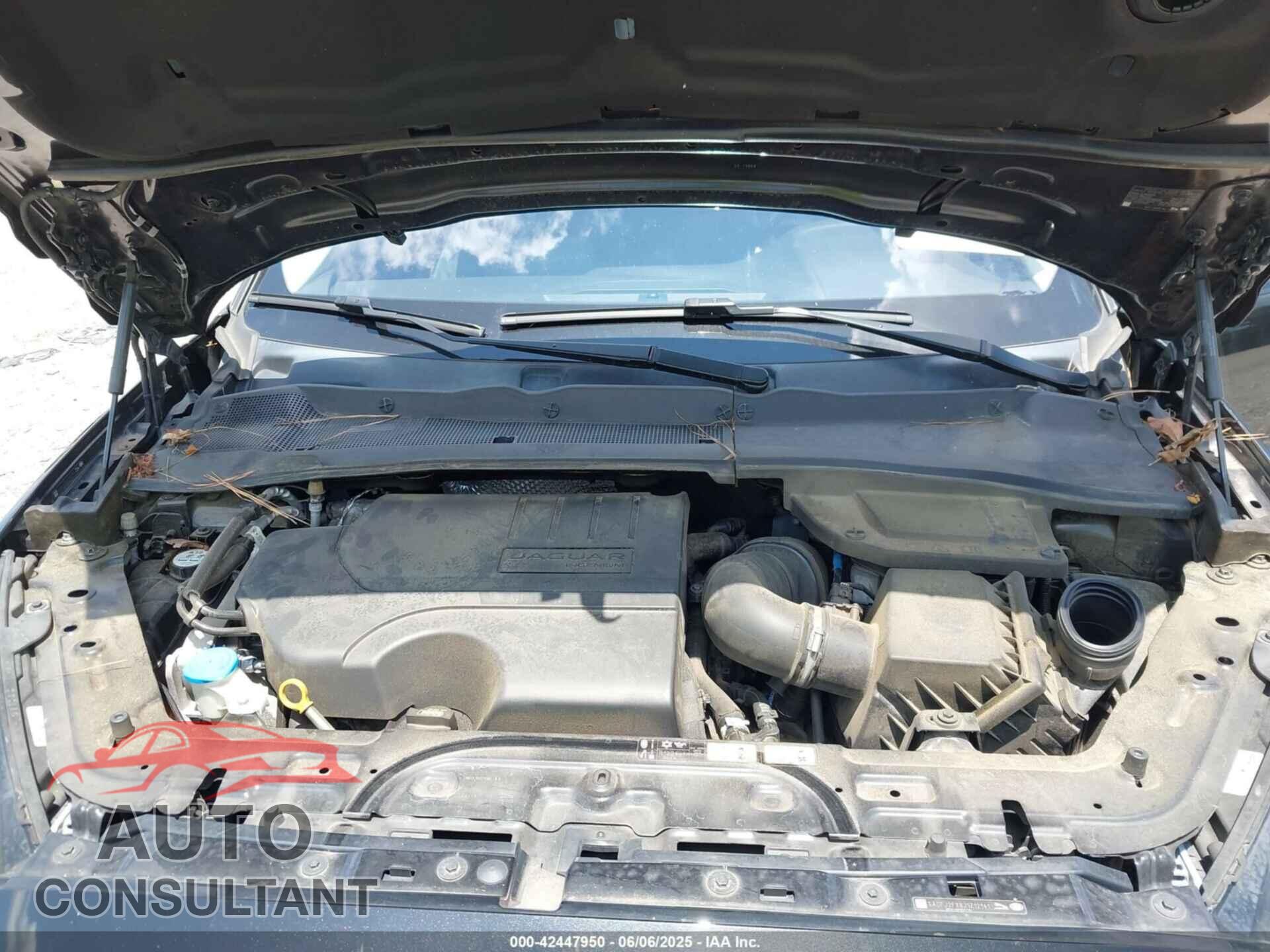 JAGUAR E-PACE 2018 - SADFJ2FX8J1Z12141