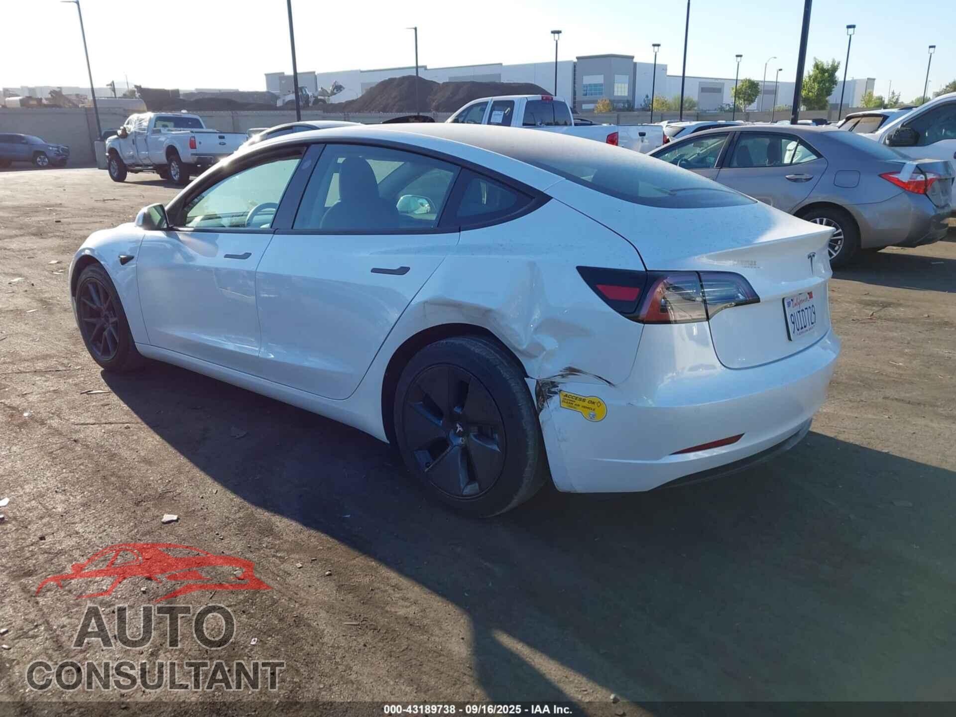 TESLA MODEL 3 2021 - 5YJ3E1EA2MF066370