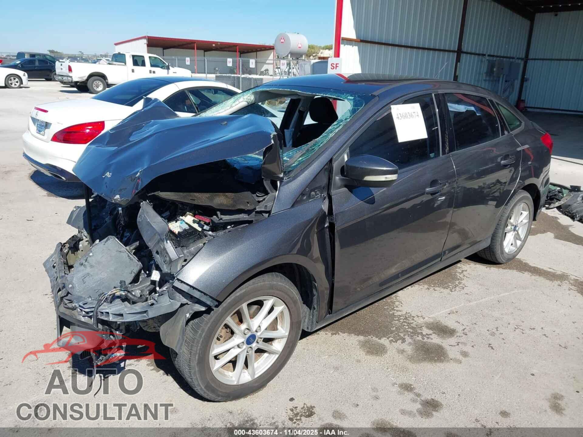 FORD FOCUS 2016 - 1FADP3F29GL336543