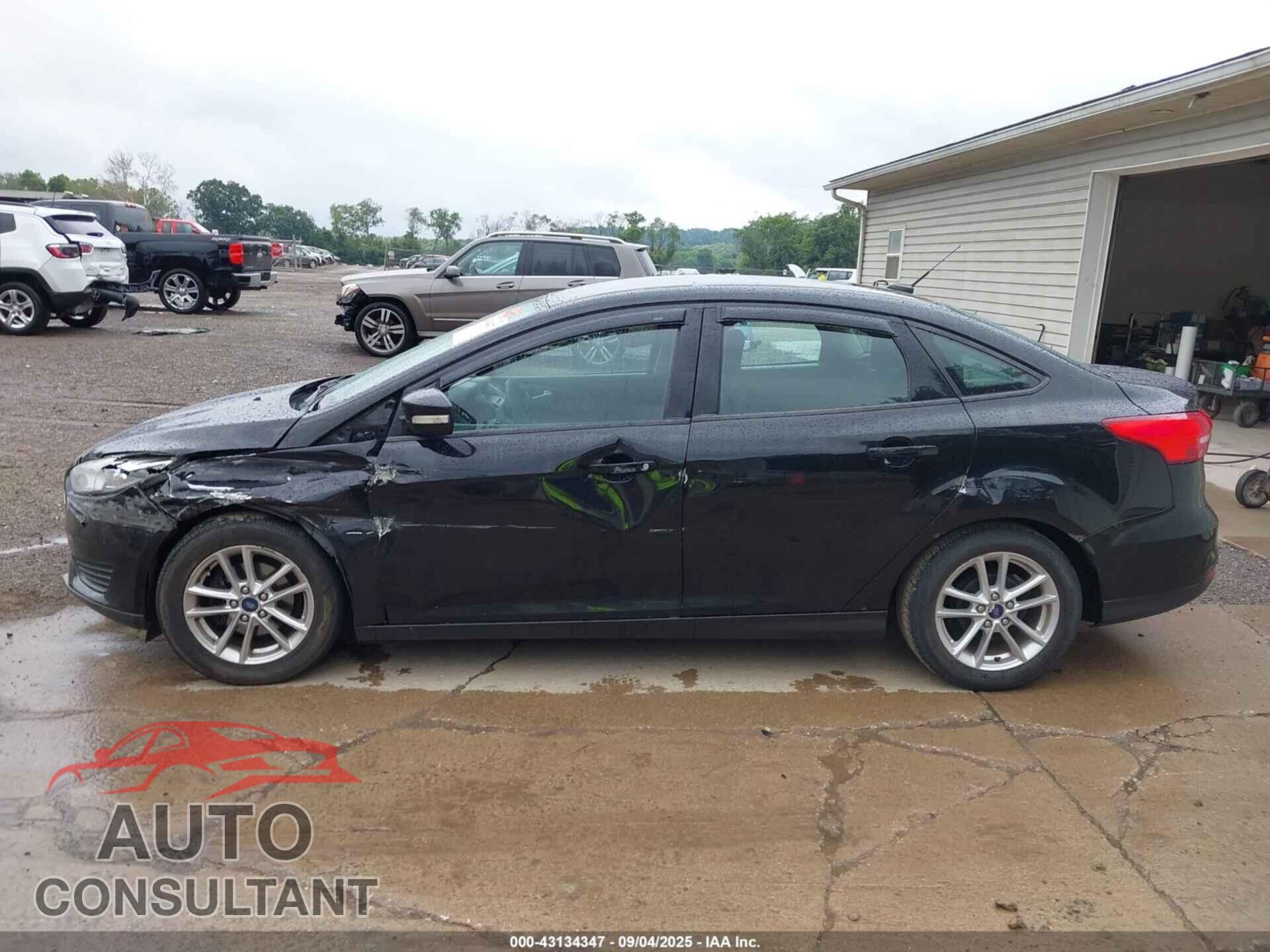 FORD FOCUS 2016 - 1FADP3F26GL202055