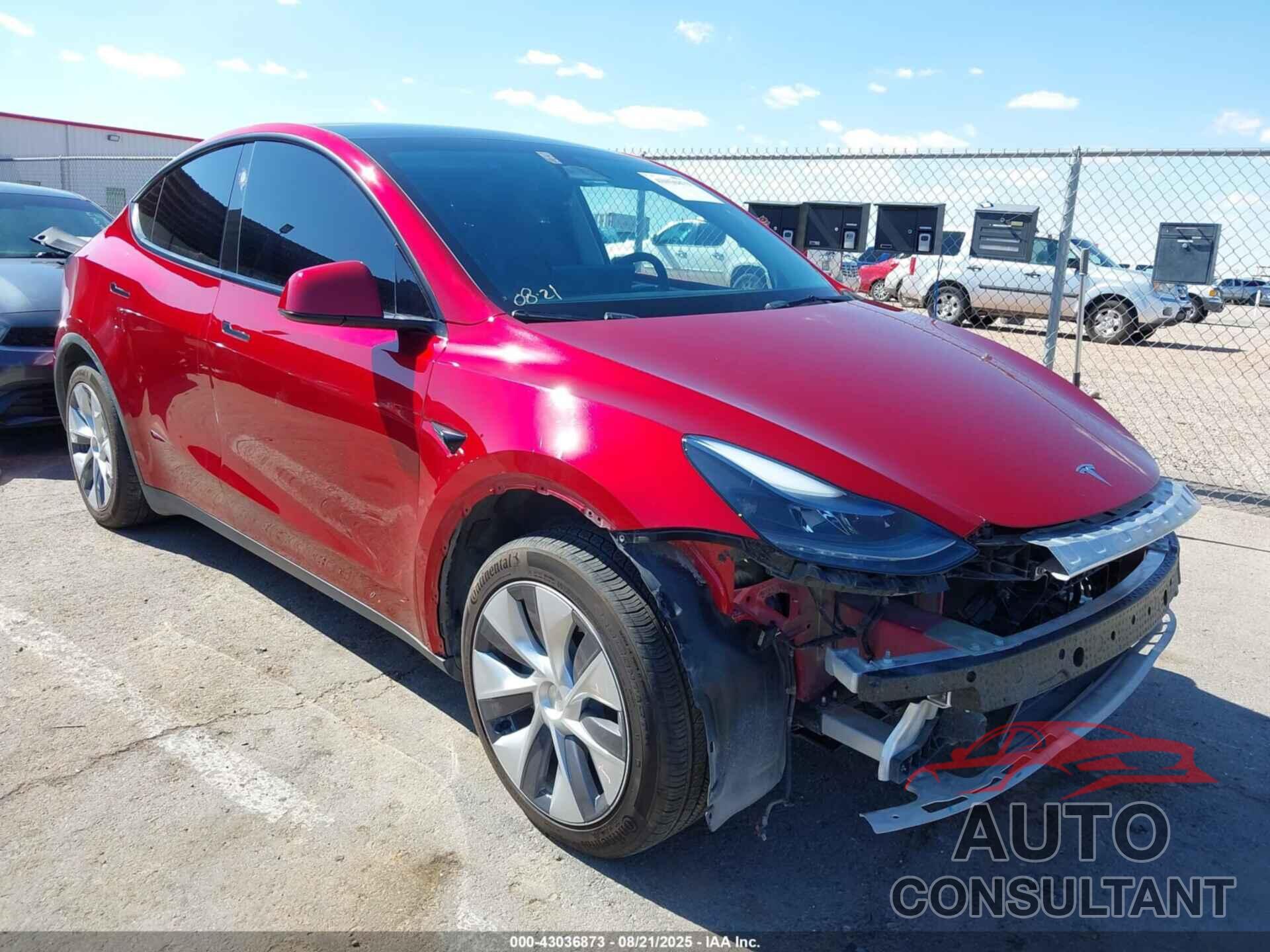 TESLA MODEL Y 2024 - 7SAYGAEE1RF048102