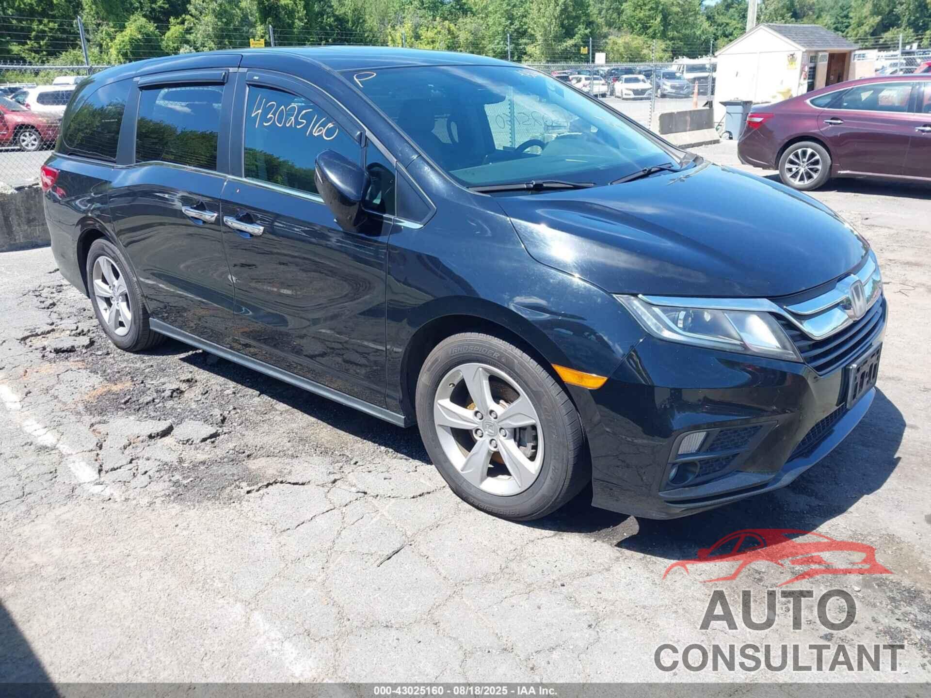 HONDA ODYSSEY 2019 - 5FNRL6H76KB096529