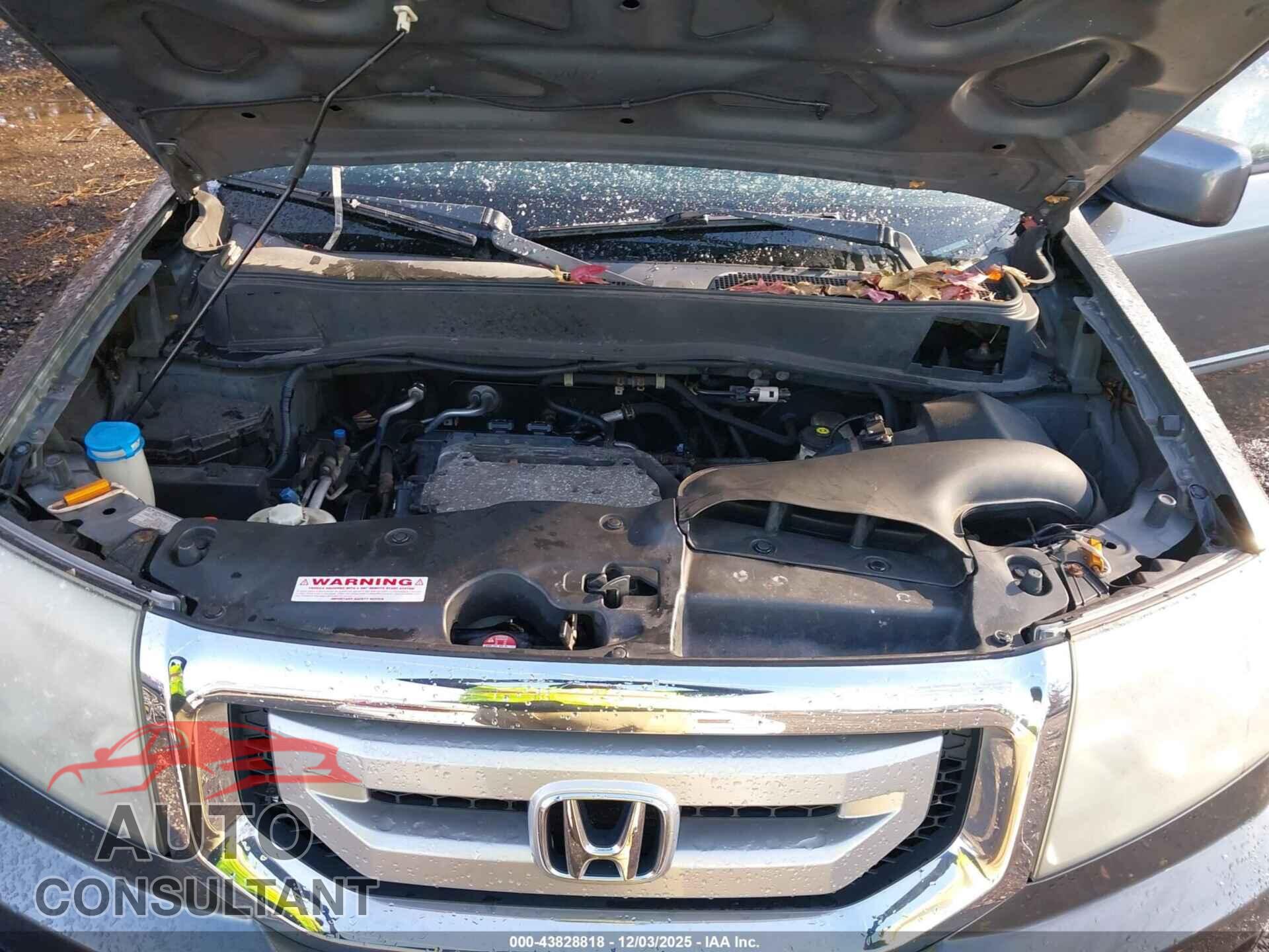 HONDA PILOT 2011 - 5FNYF4H65BB034232