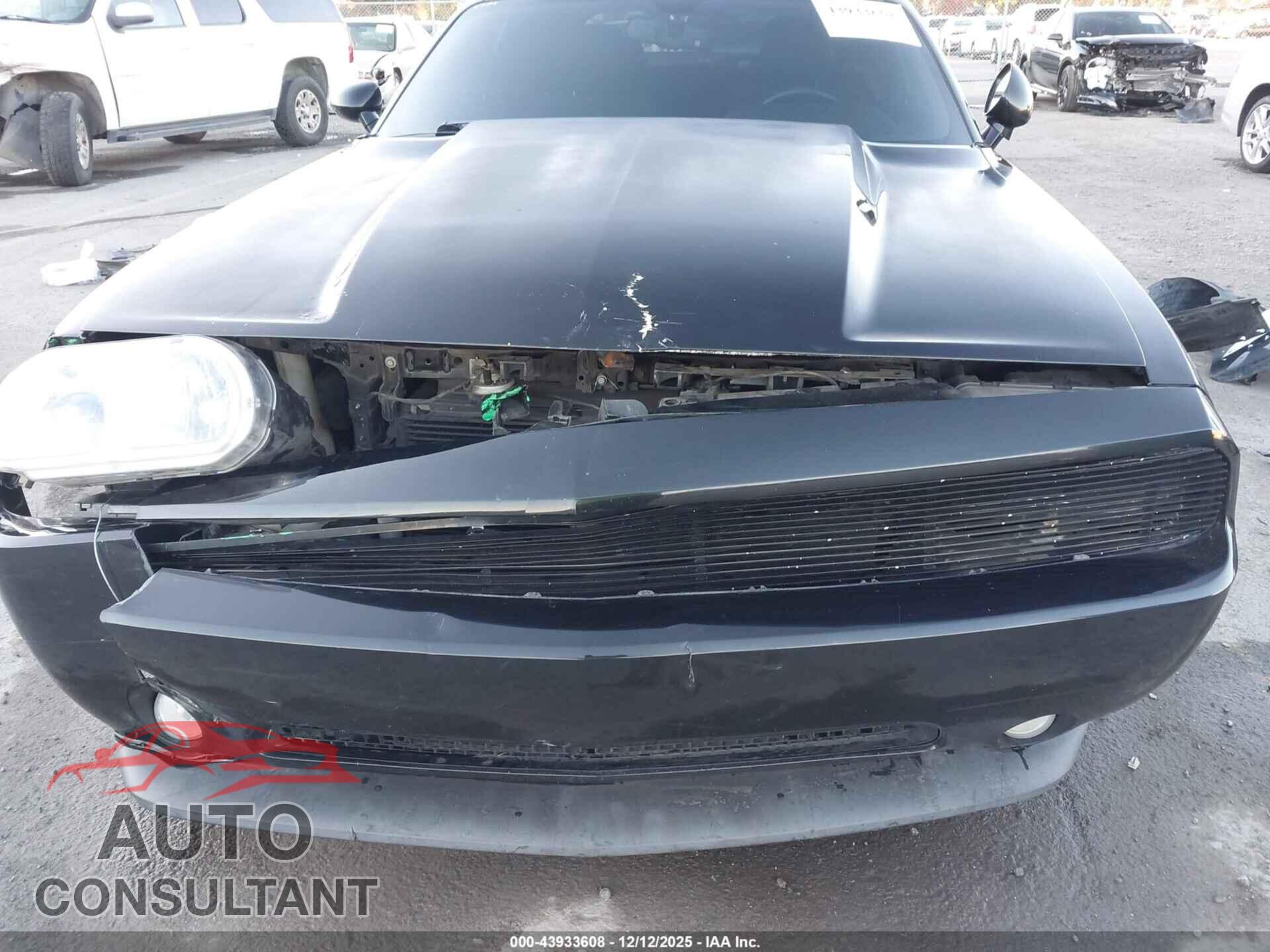 DODGE CHALLENGER 2013 - 2C3CDYBT1DH541815