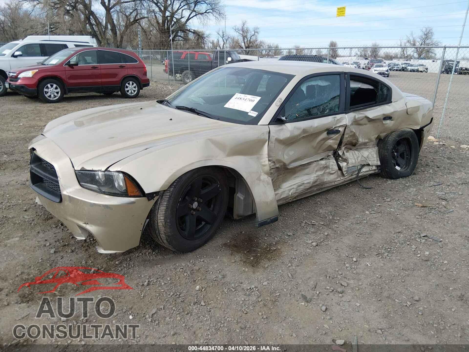 DODGE CHARGER 2013 - 2C3CDXAT8DH717206